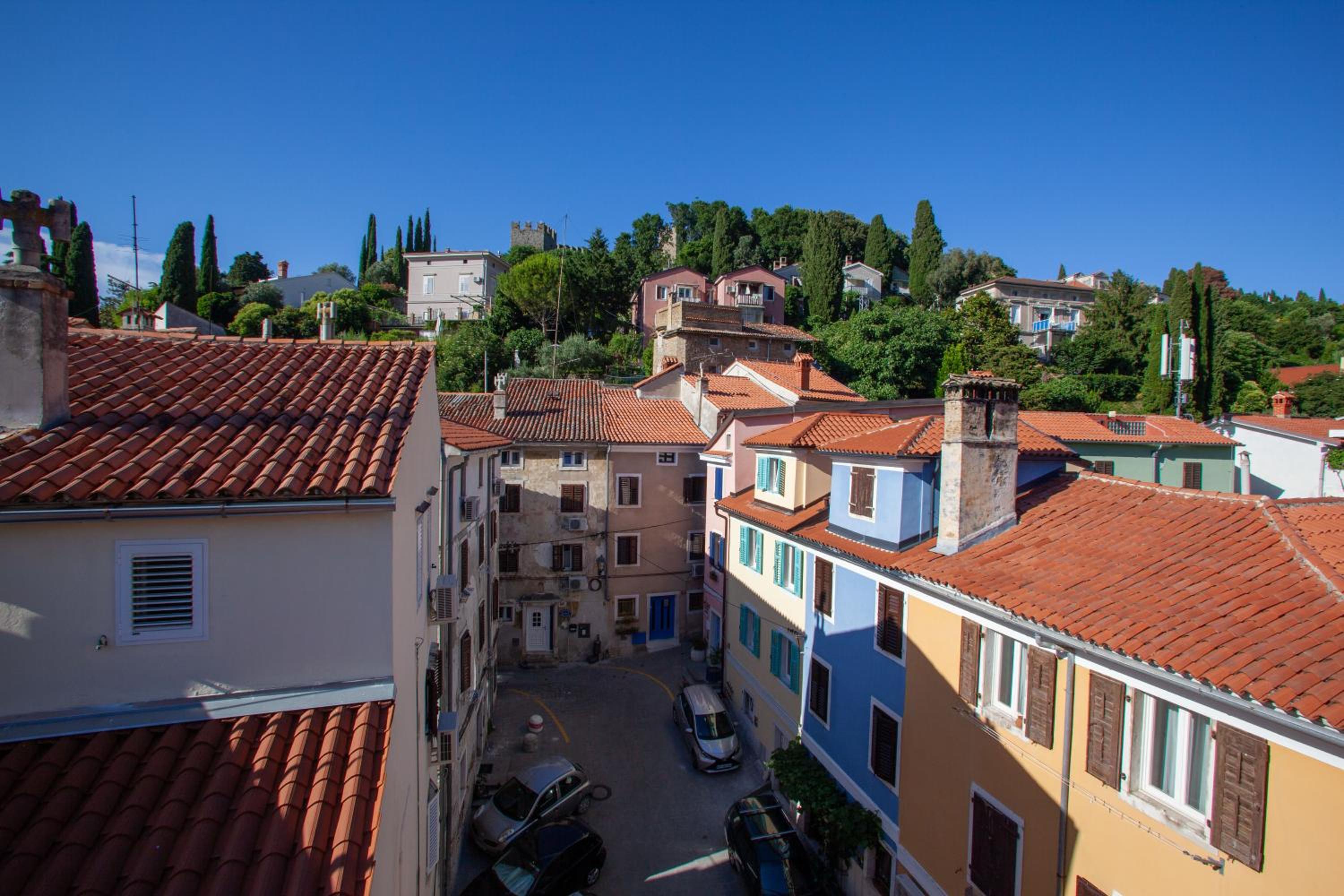 Photo 62