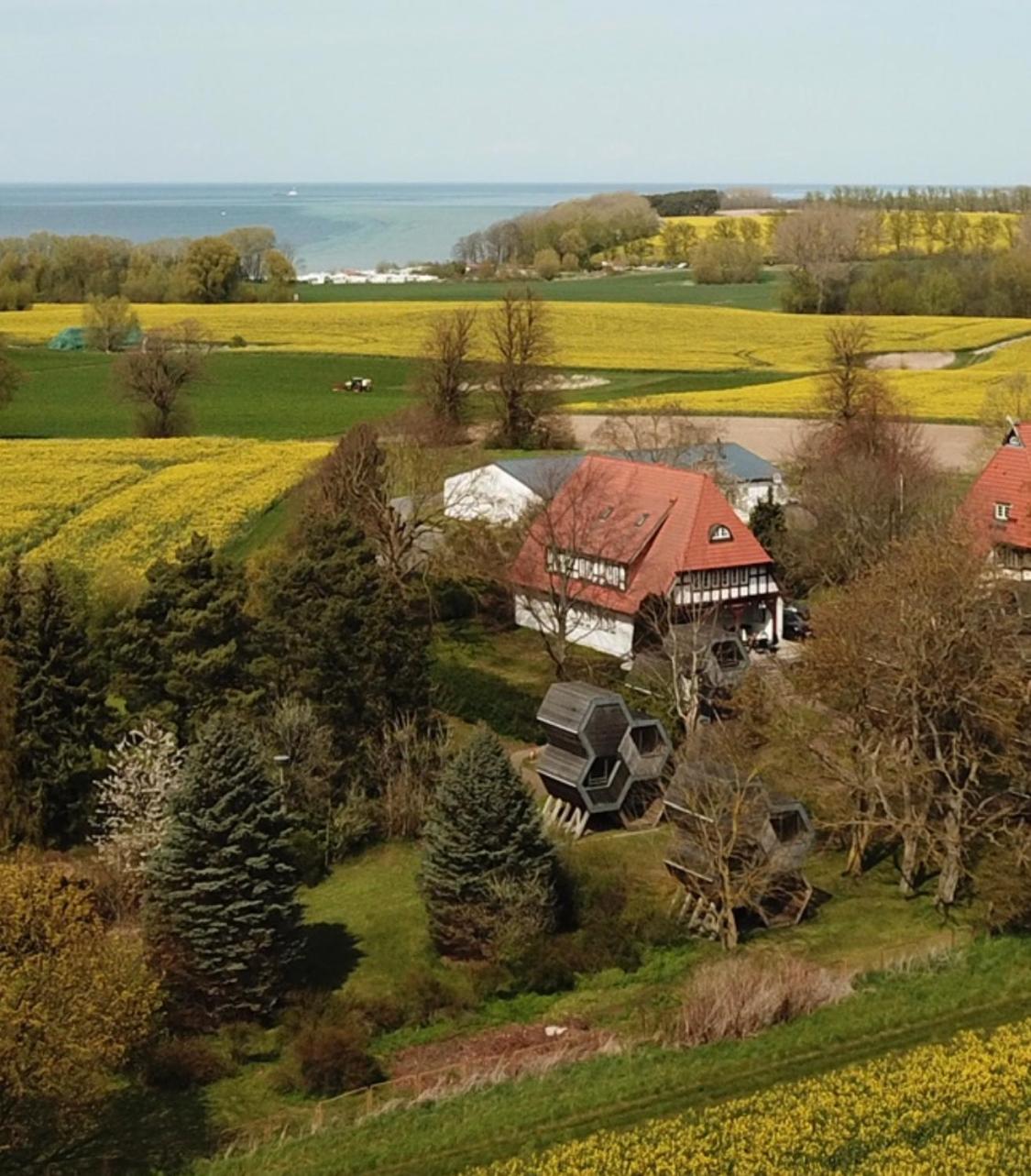 Grüne Wiek Wabenhausherberge Beckerwitz
