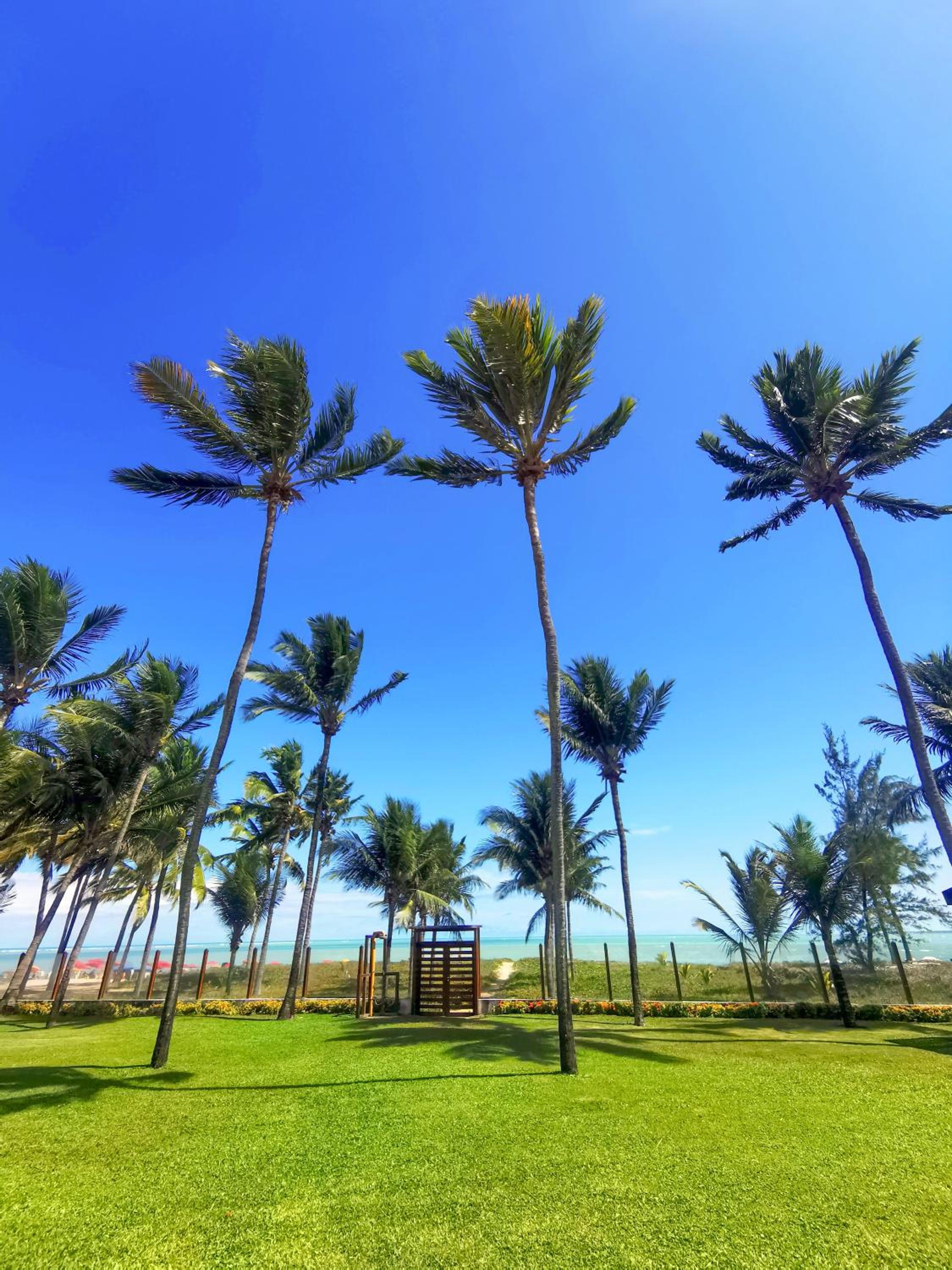 children's play area