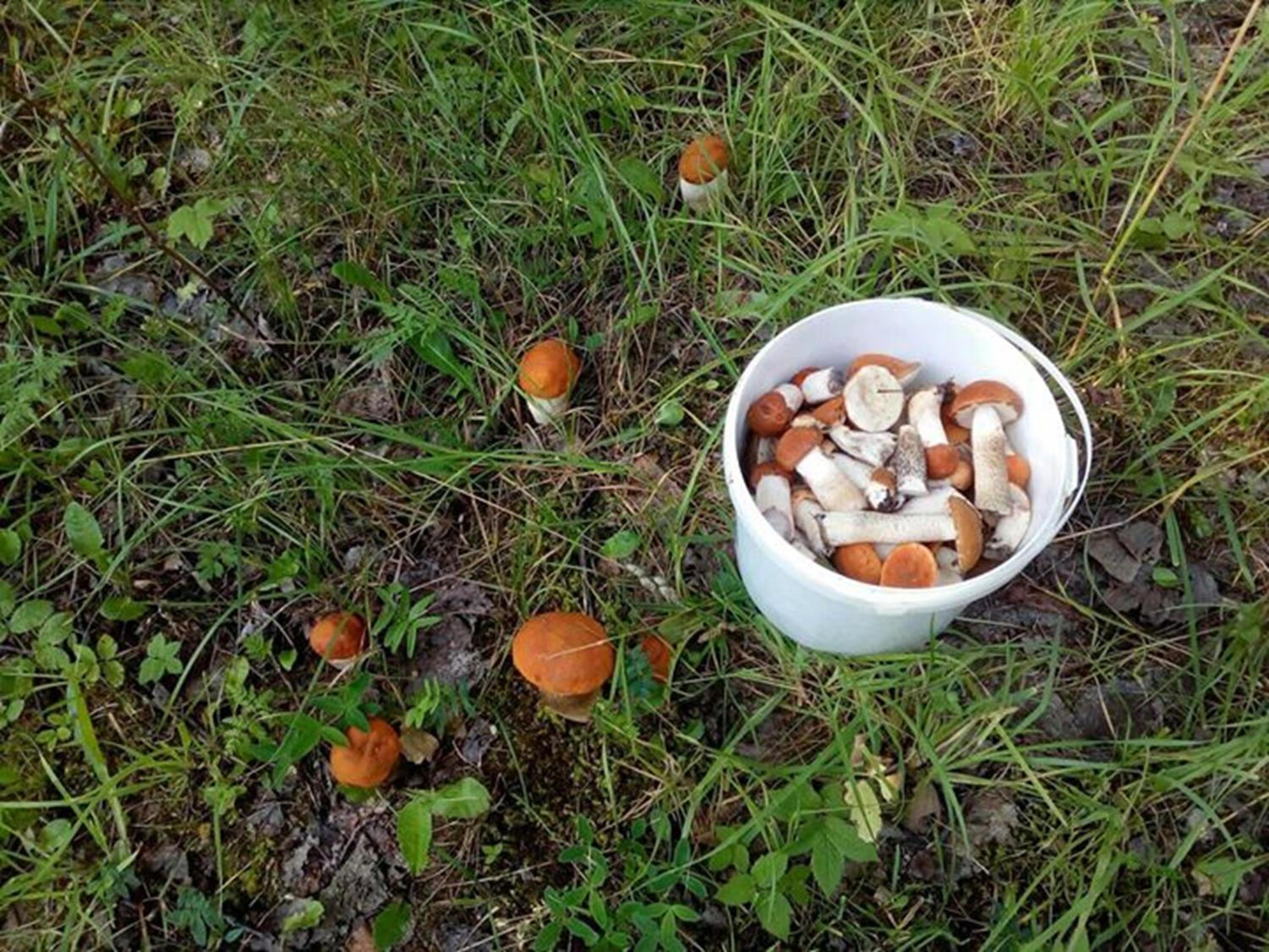 Photo 47