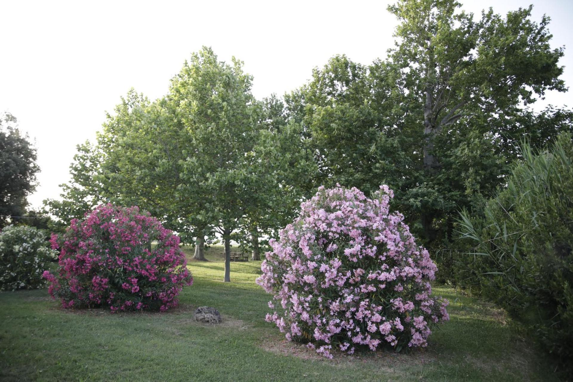 Agriturismo La Fonte di San Girio