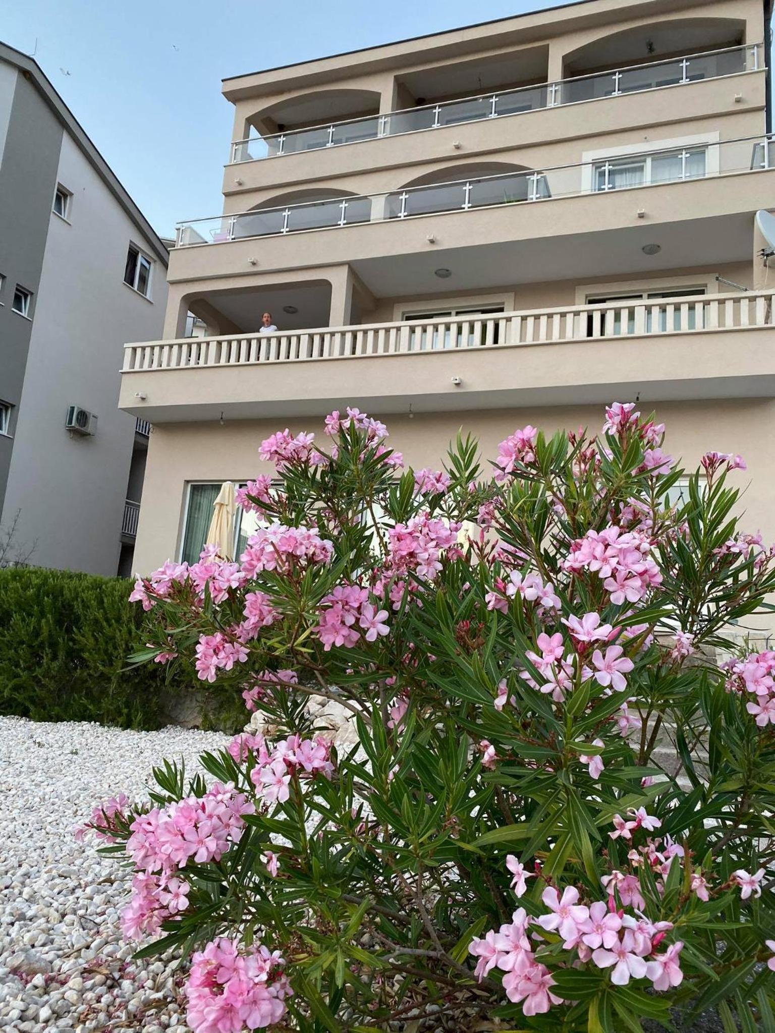 Apartmani Divna view 5