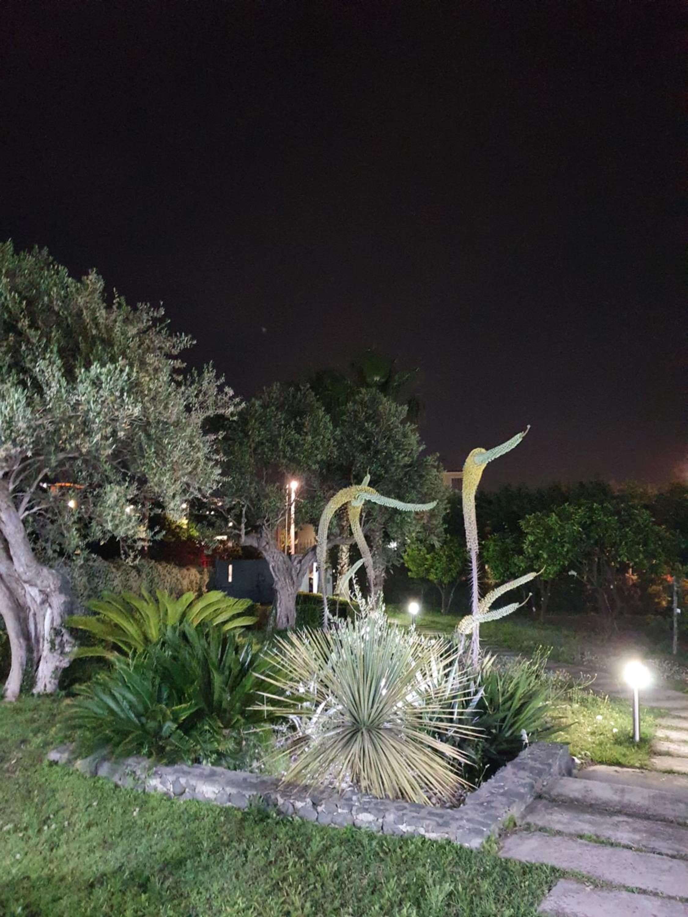 Photo 48