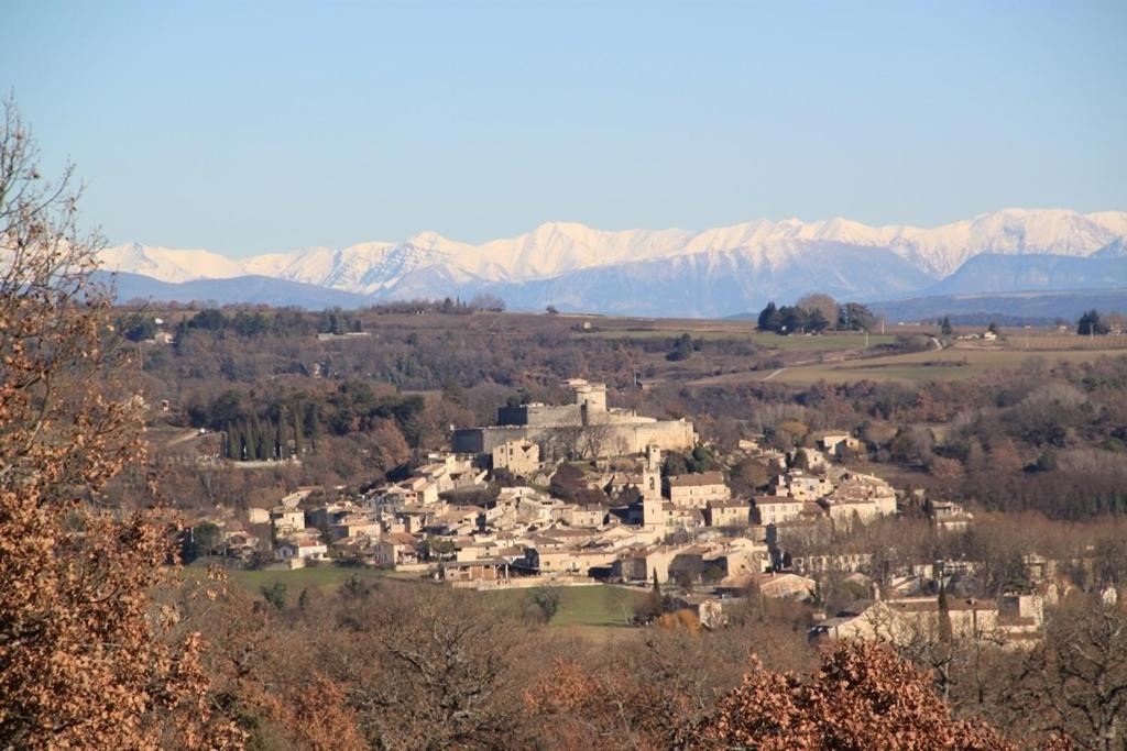 Le Mas des Pins view 5