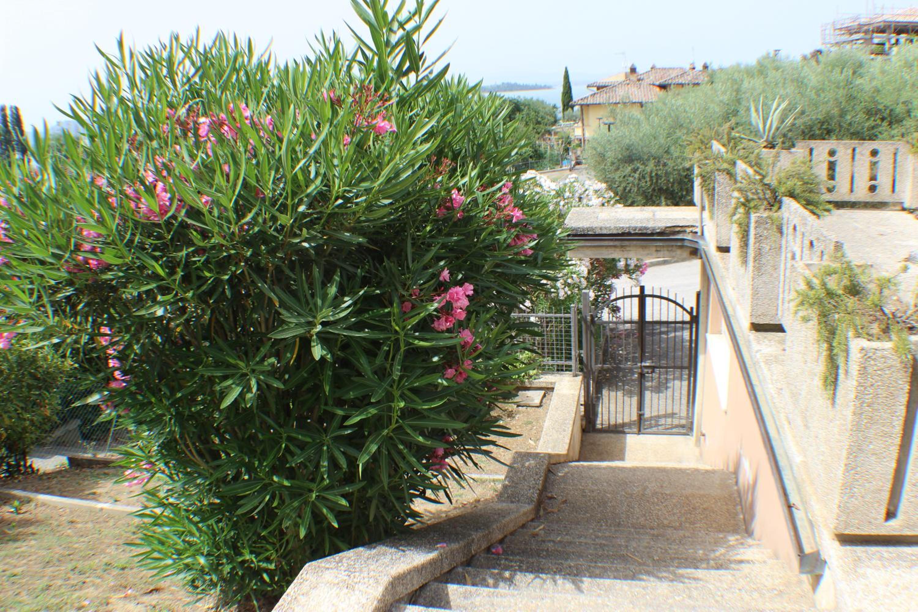 La perla sul lago photo 5