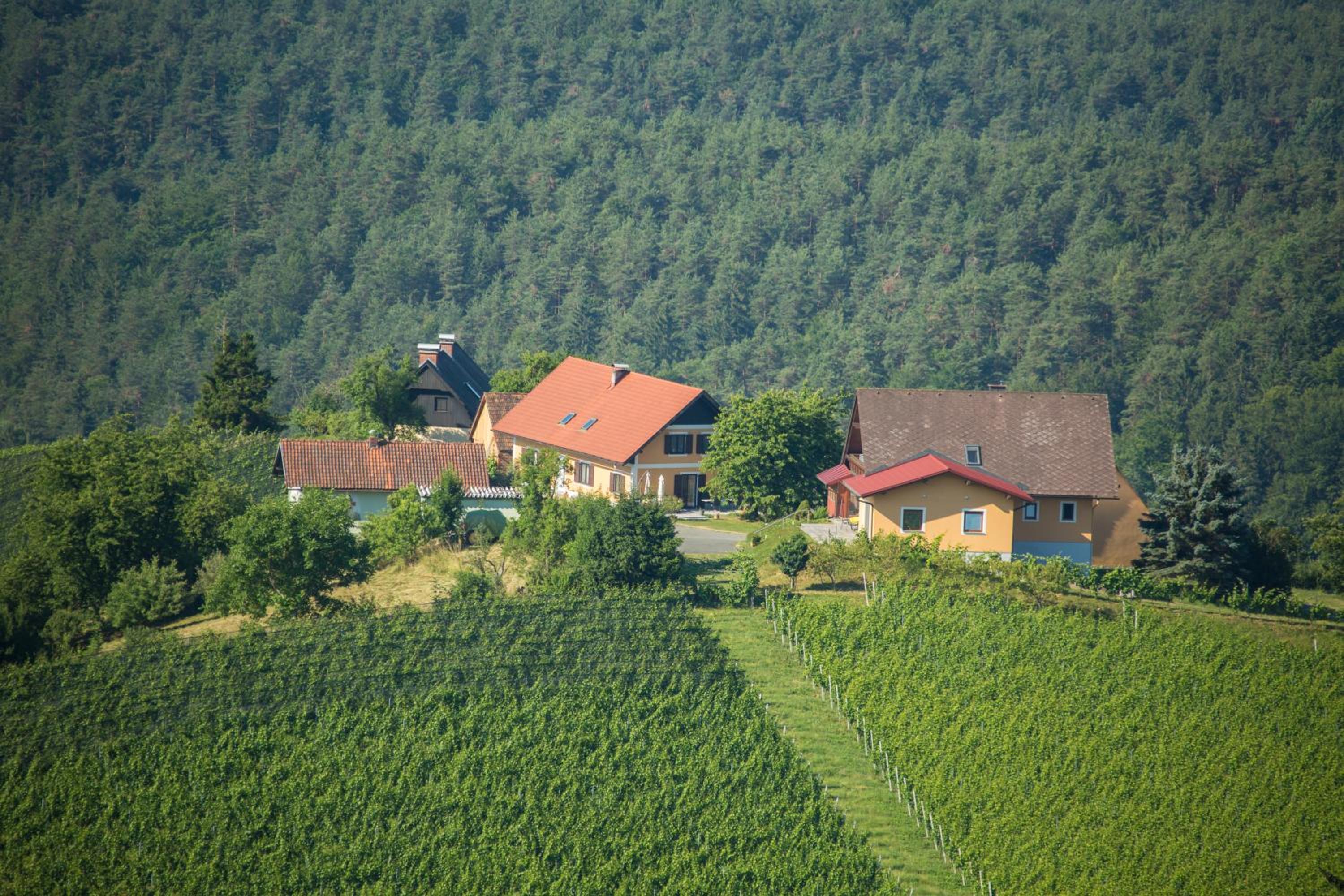 Gästehaus Grasch
