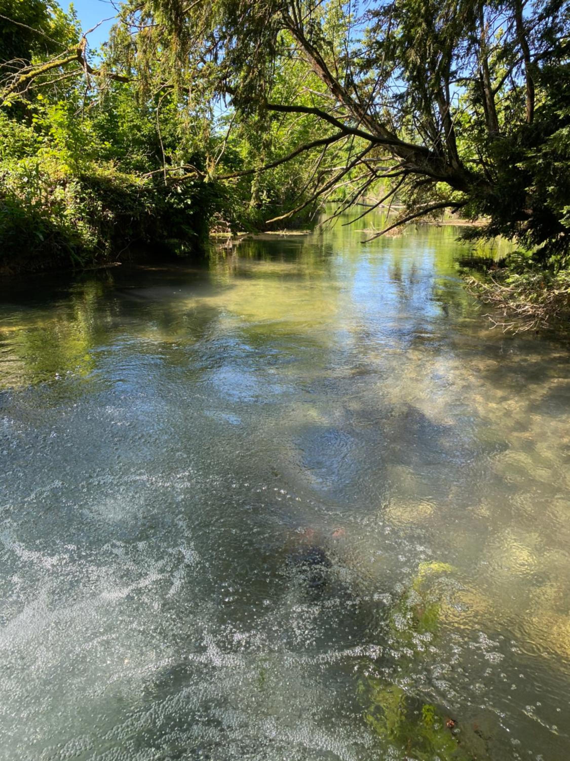 Photo 46
