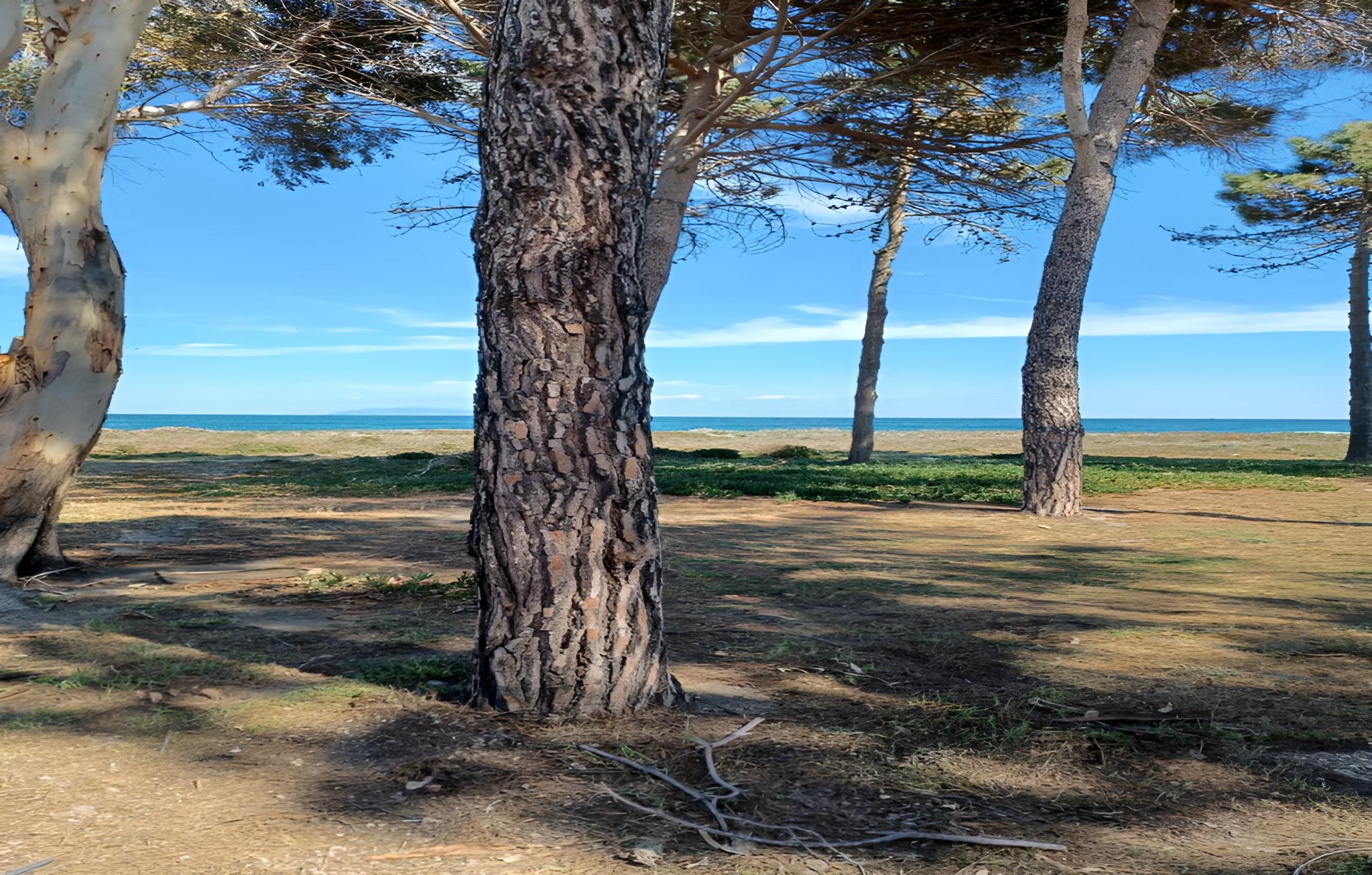 Hotel Oro Biancu - Image 1