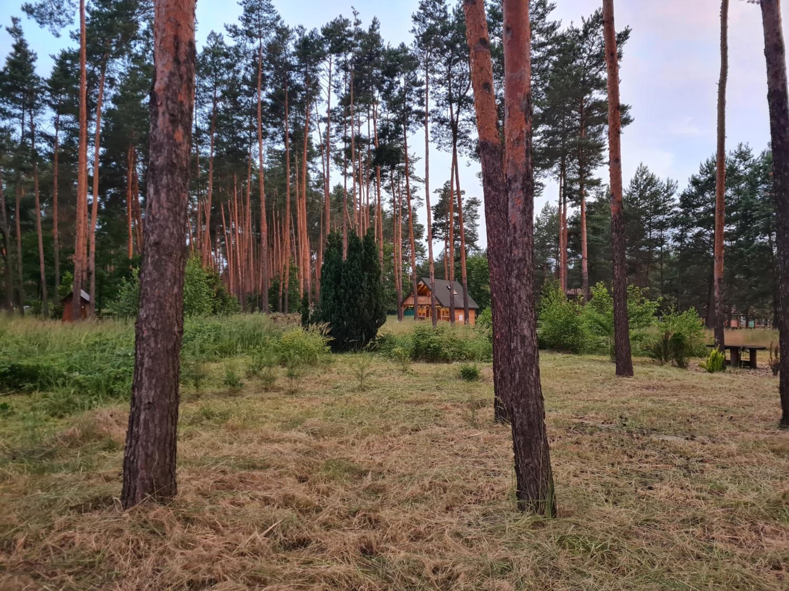 Pod Czarnym Dzięciołem - dom z widokiem i prywatną balią view 3