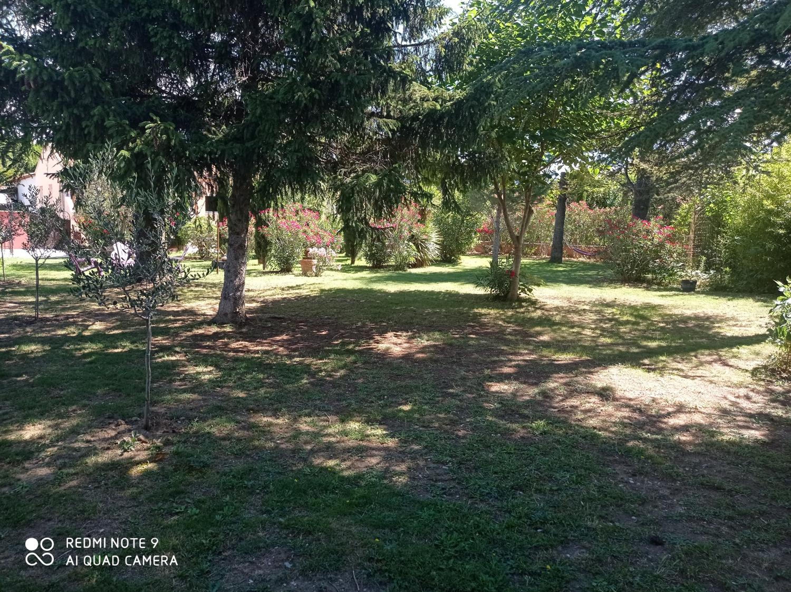 Photo 34