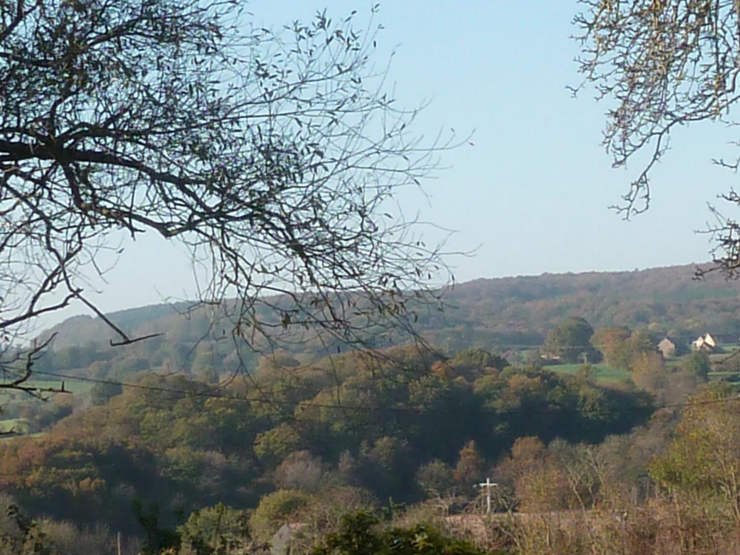 Photo 46