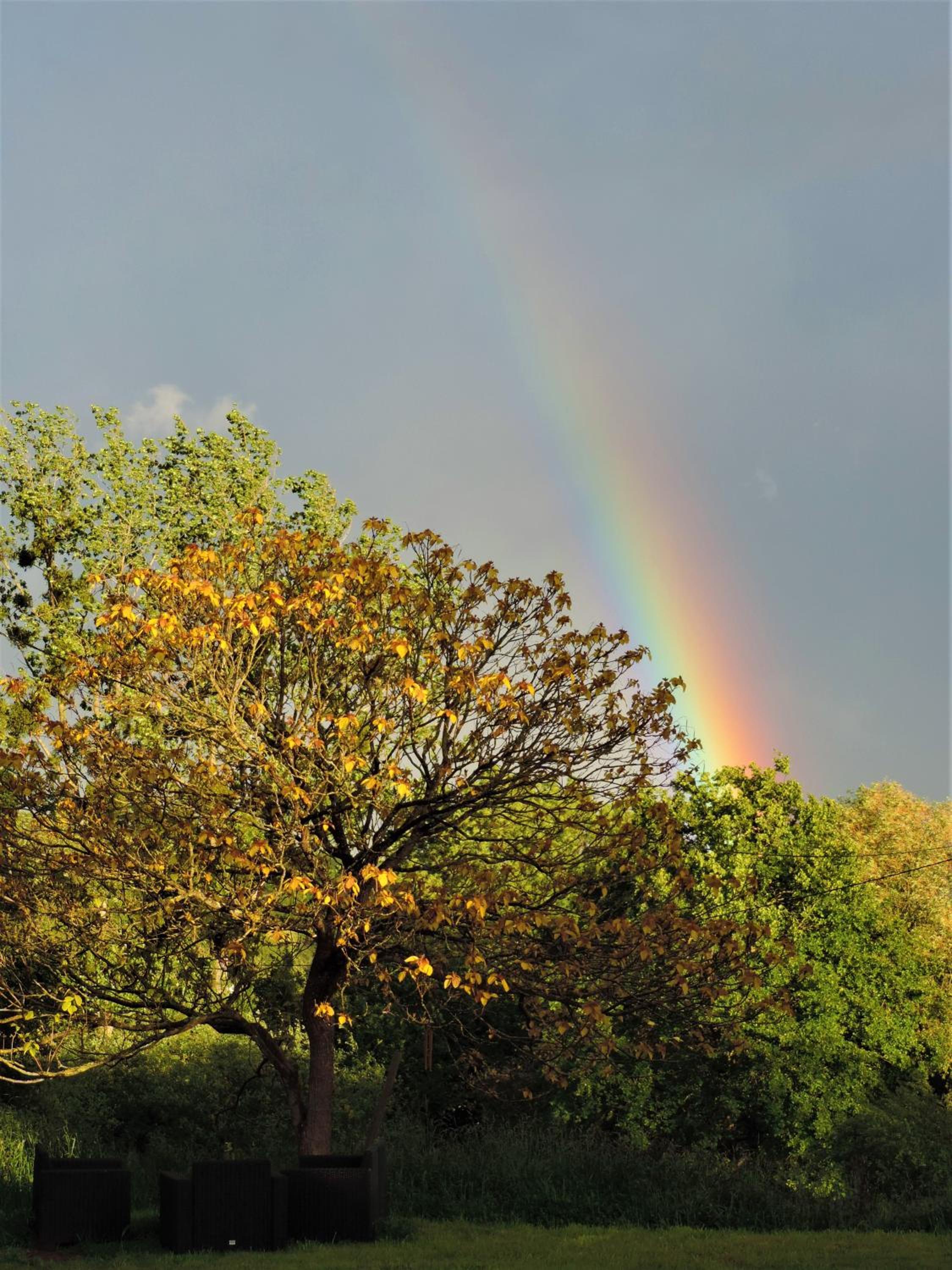Photo 47