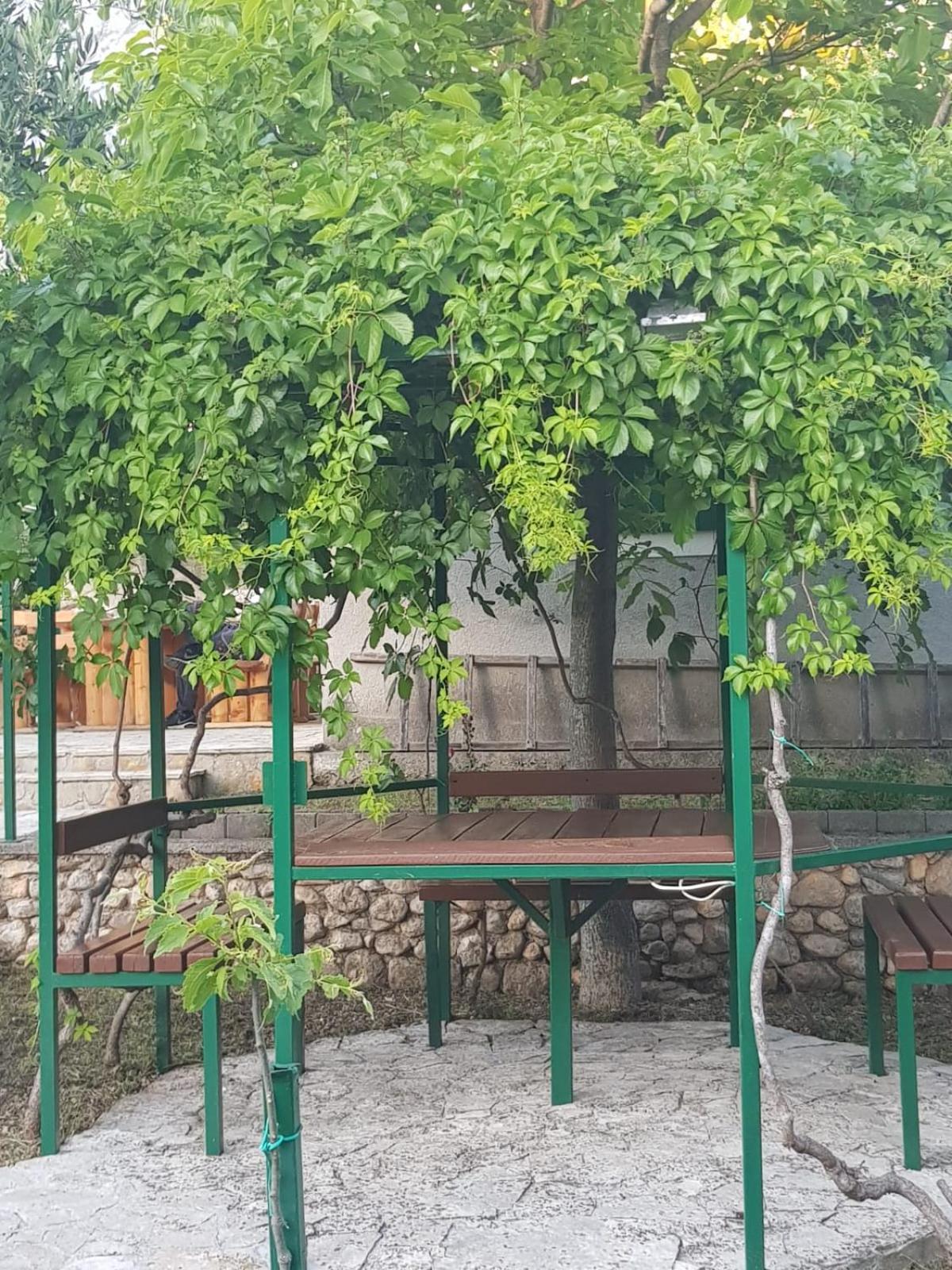 Photo 21