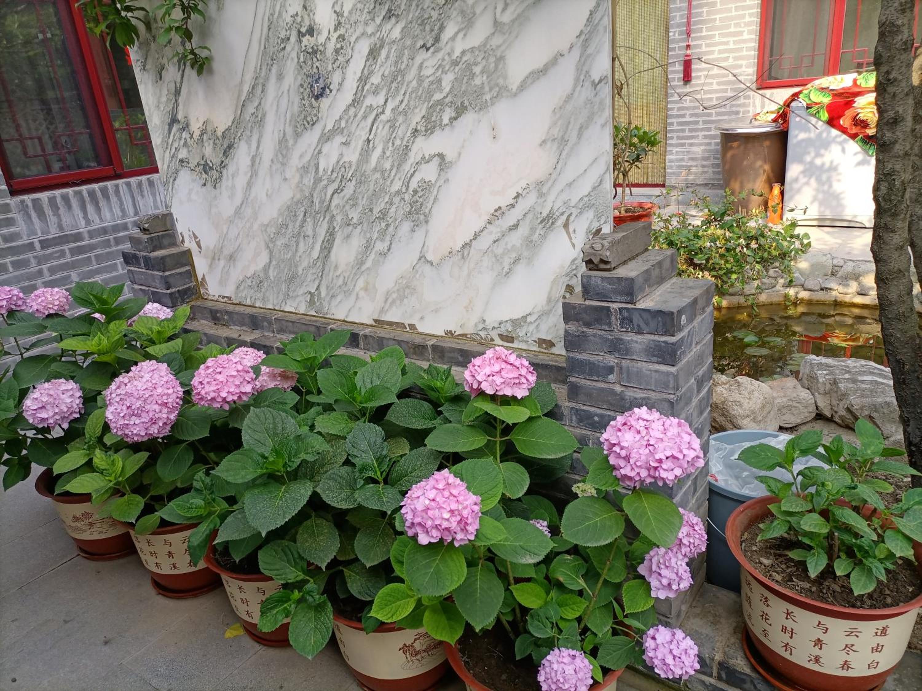 Dong Li Guest House
