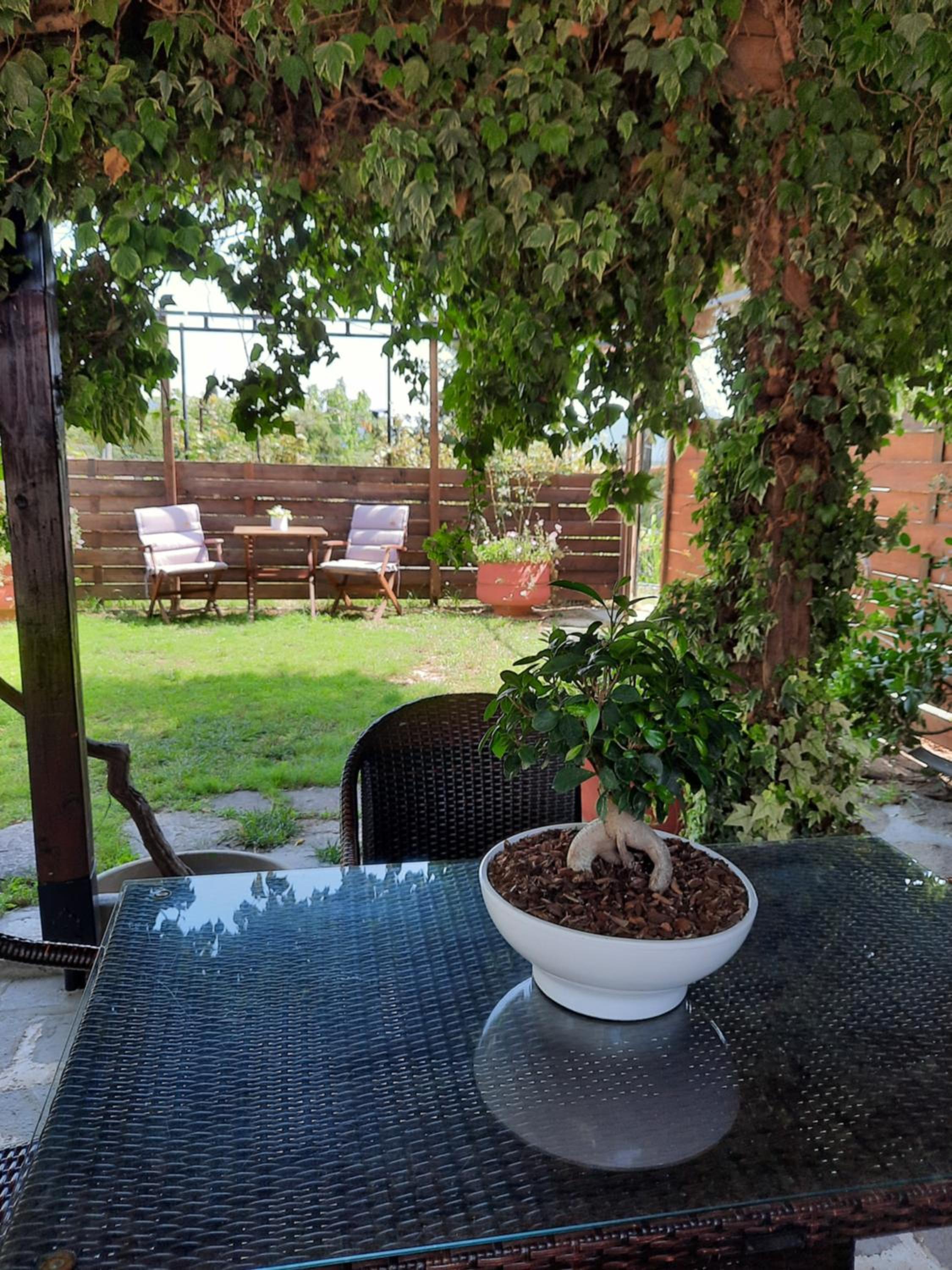 Theodora's House view 3