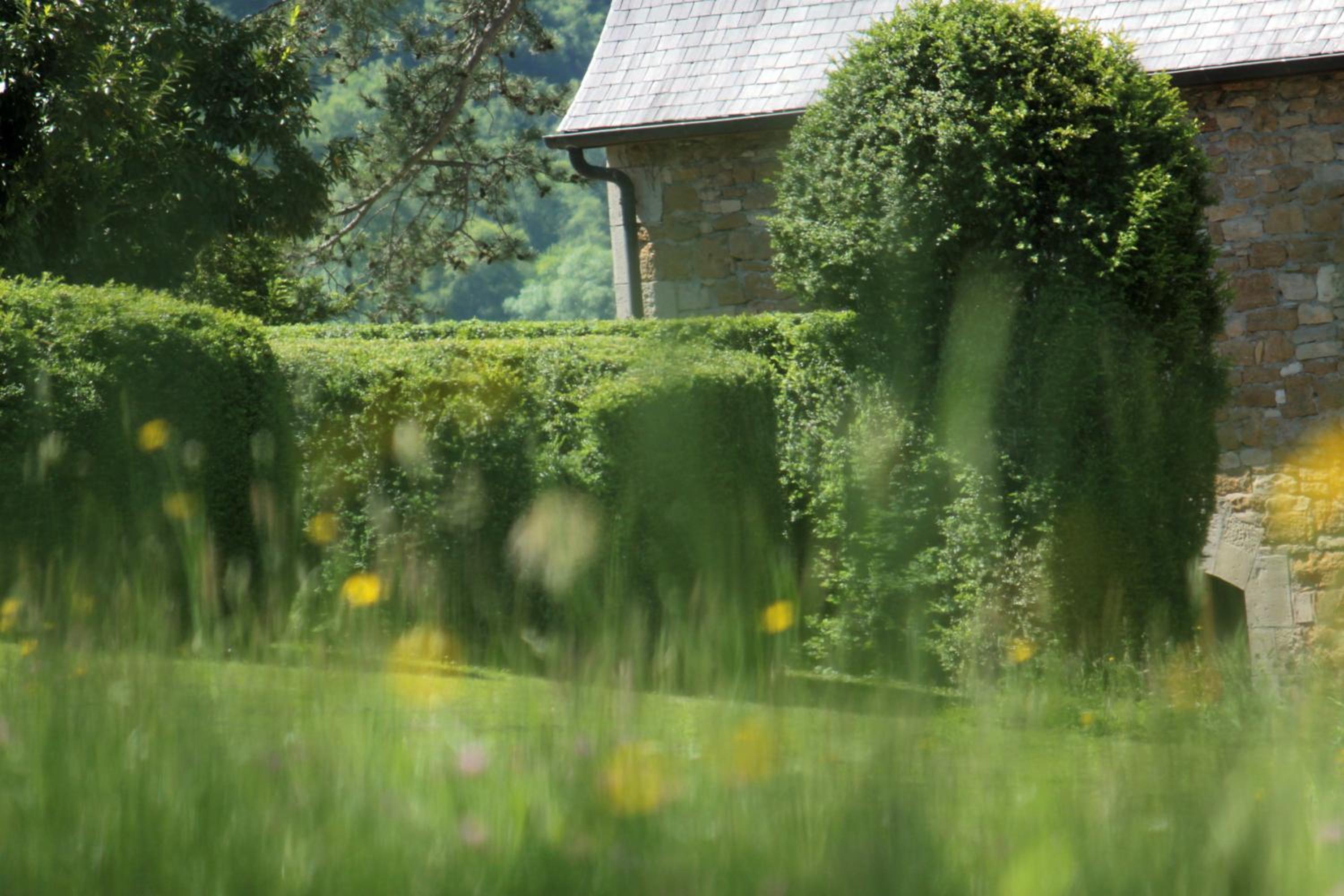 Domaine Le Broual