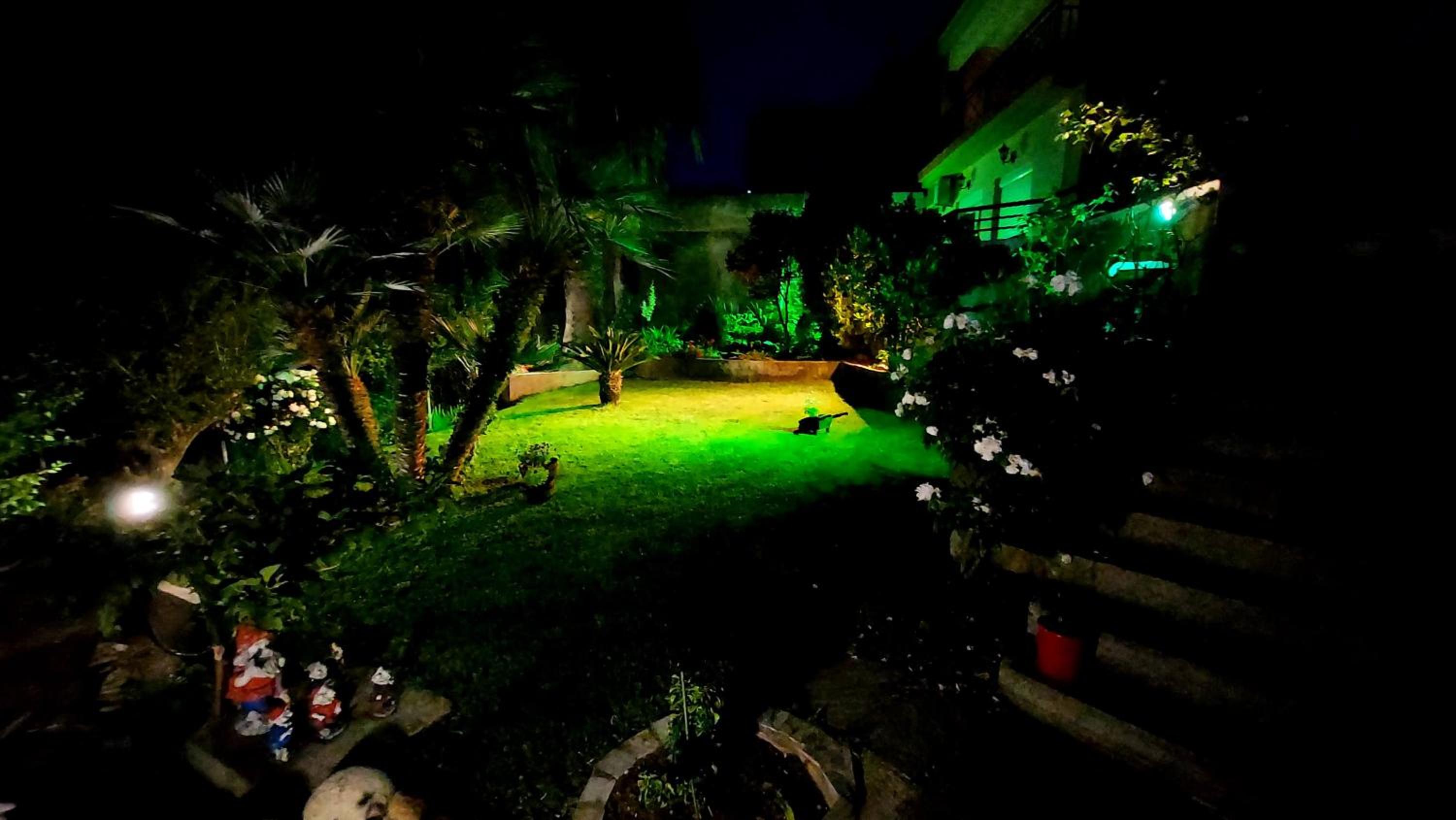 Photo 12