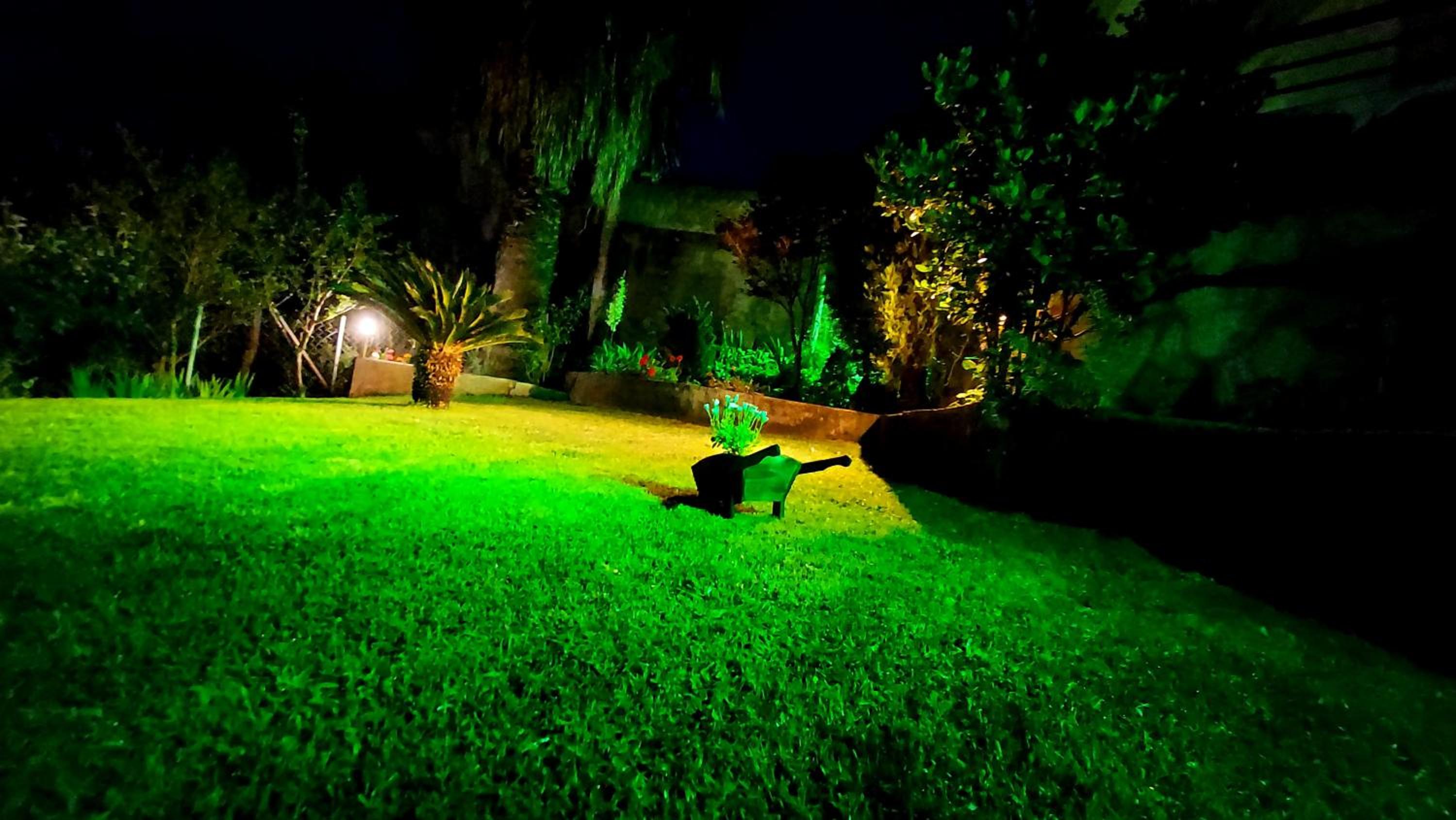 Photo 13