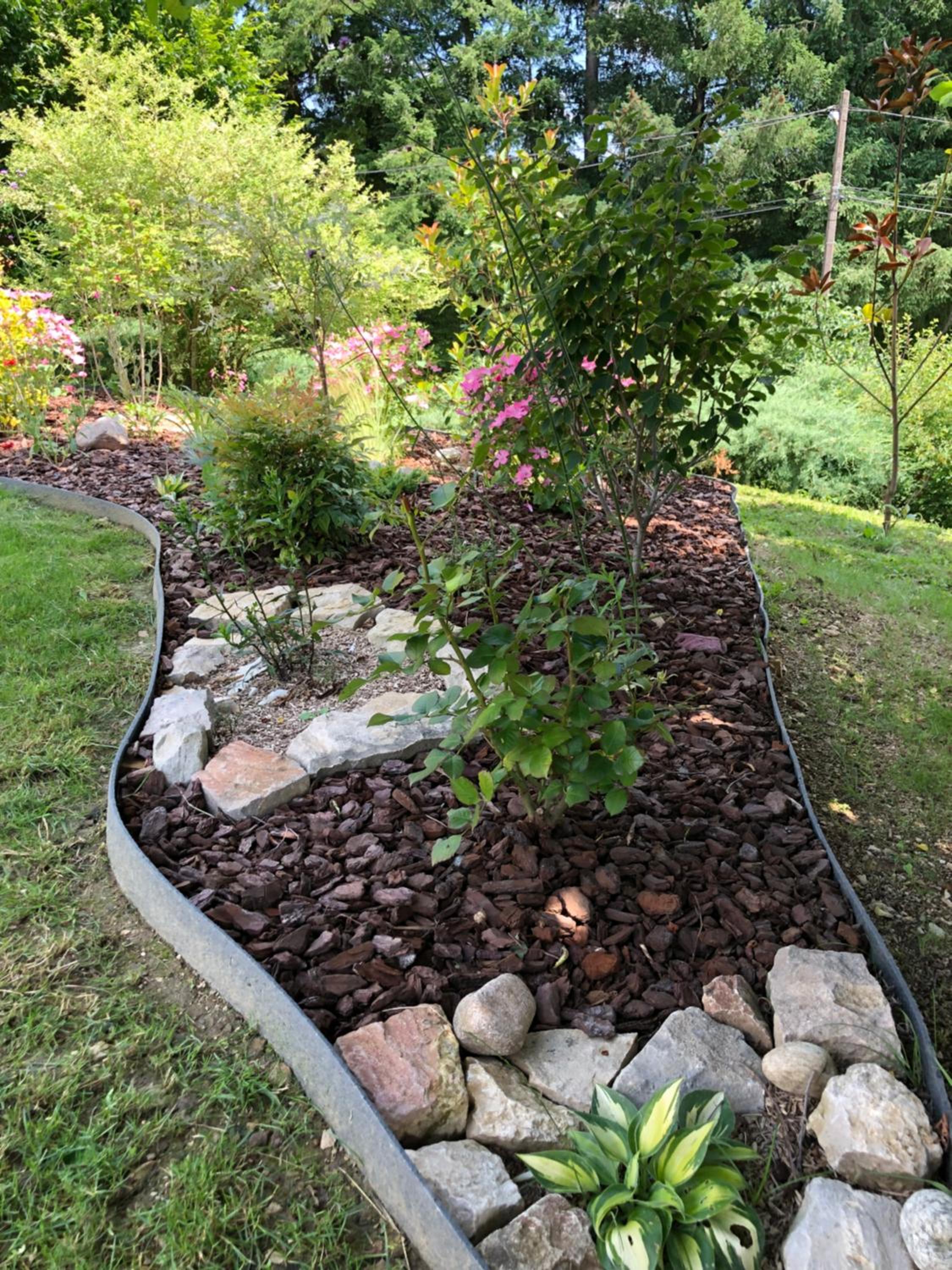 Photo 18