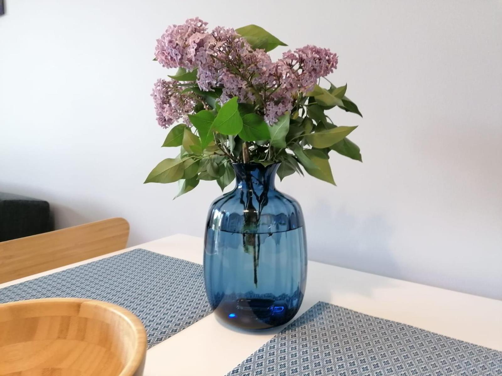 APARTAMENT GROMADZYŃ 39