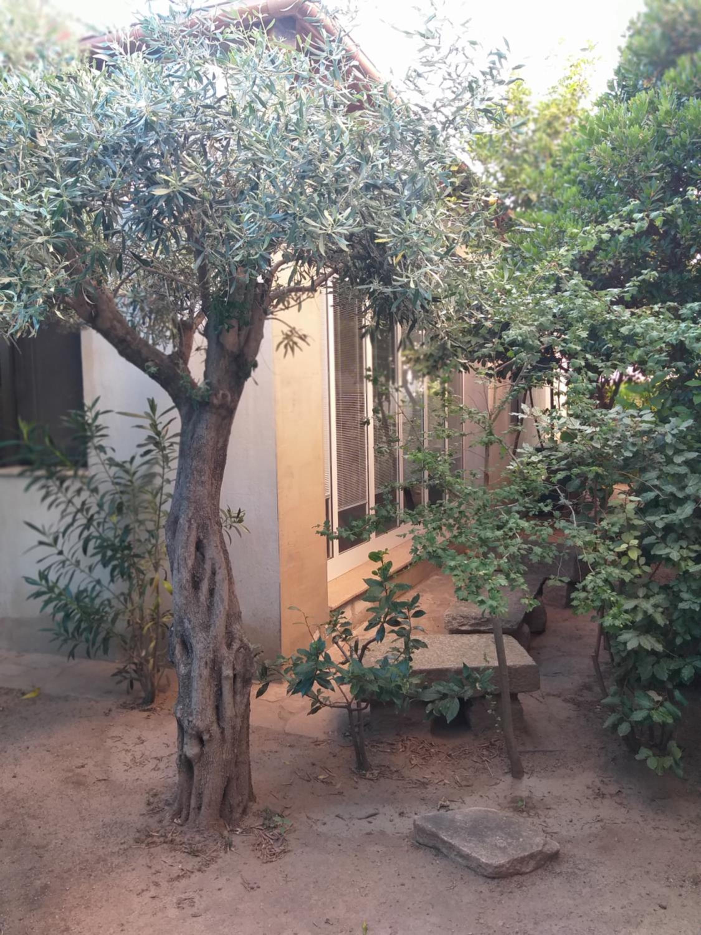 I Ginepri Guest House photo 4