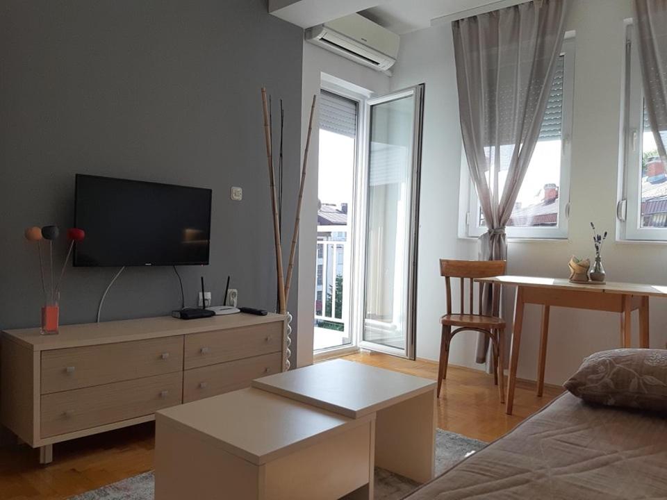 Sunny Lakeside Apartment view 3