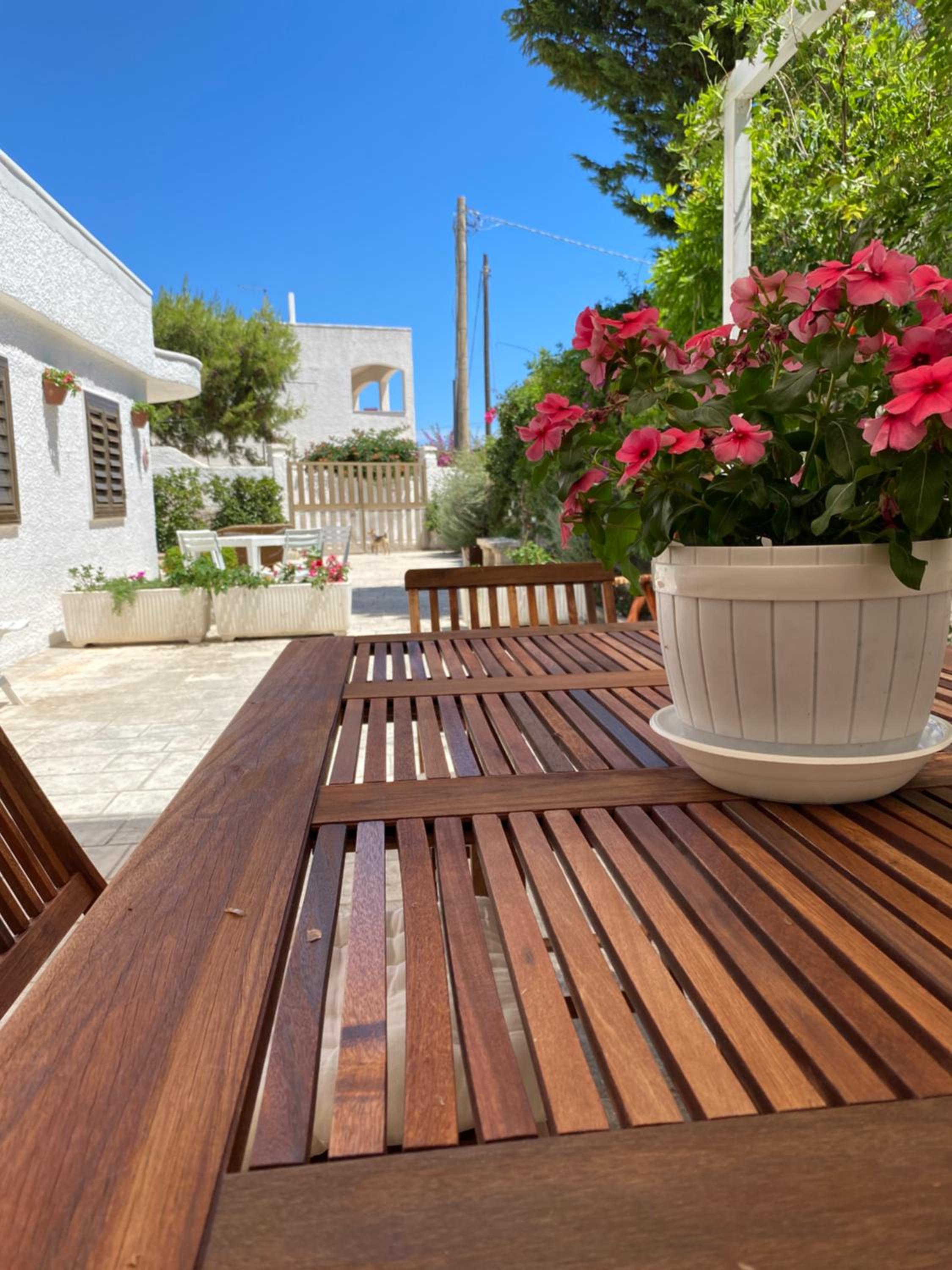 Casa Alfonsa view 5