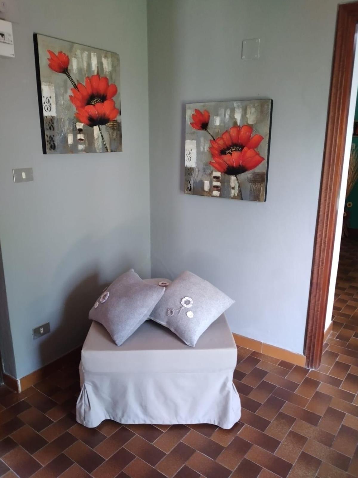 CASA ELISA (casa della nonna) photo 5