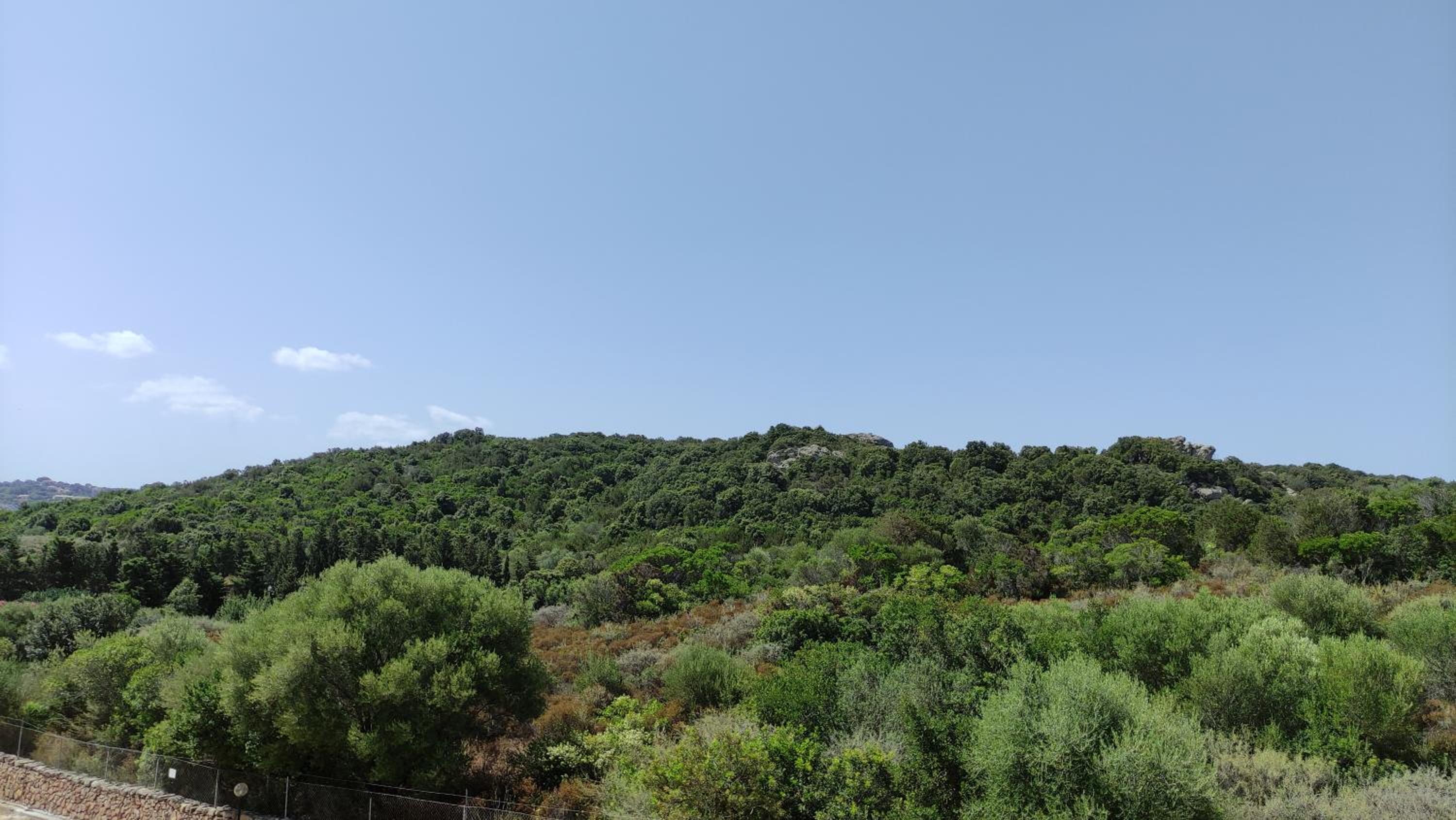 Photo 48