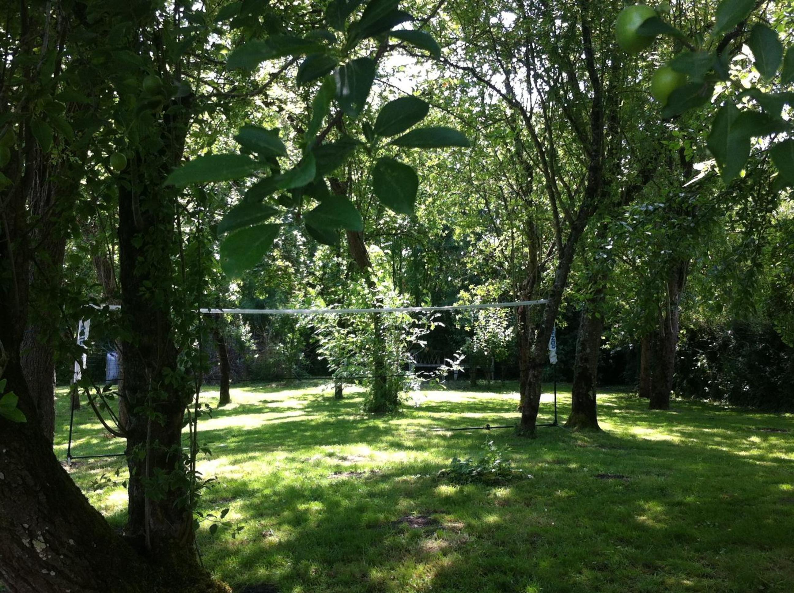 Photo 23