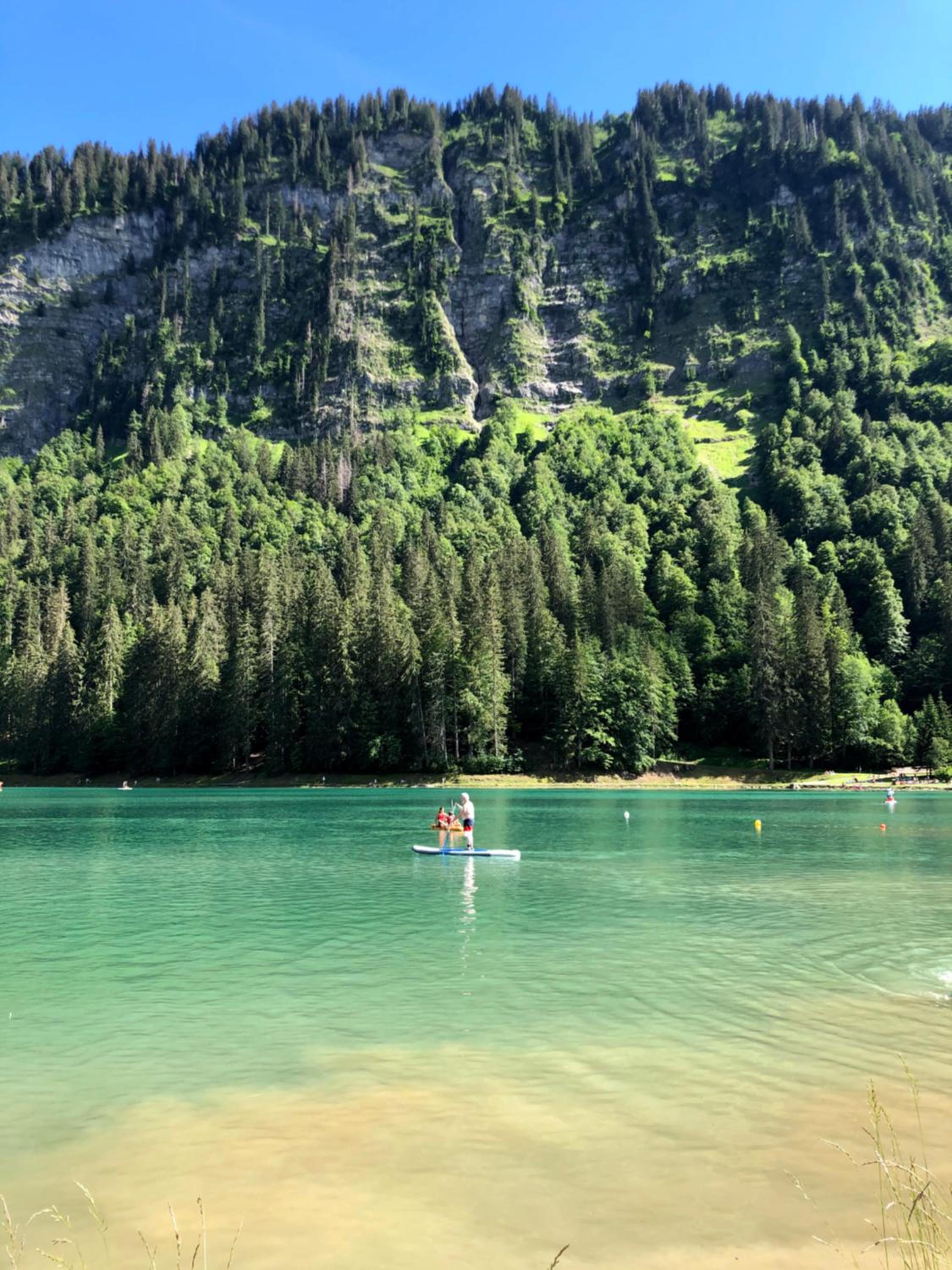 'Petite Ferme Les Bouts' Aptartment, sleeps 6, Nr Morzine view 2