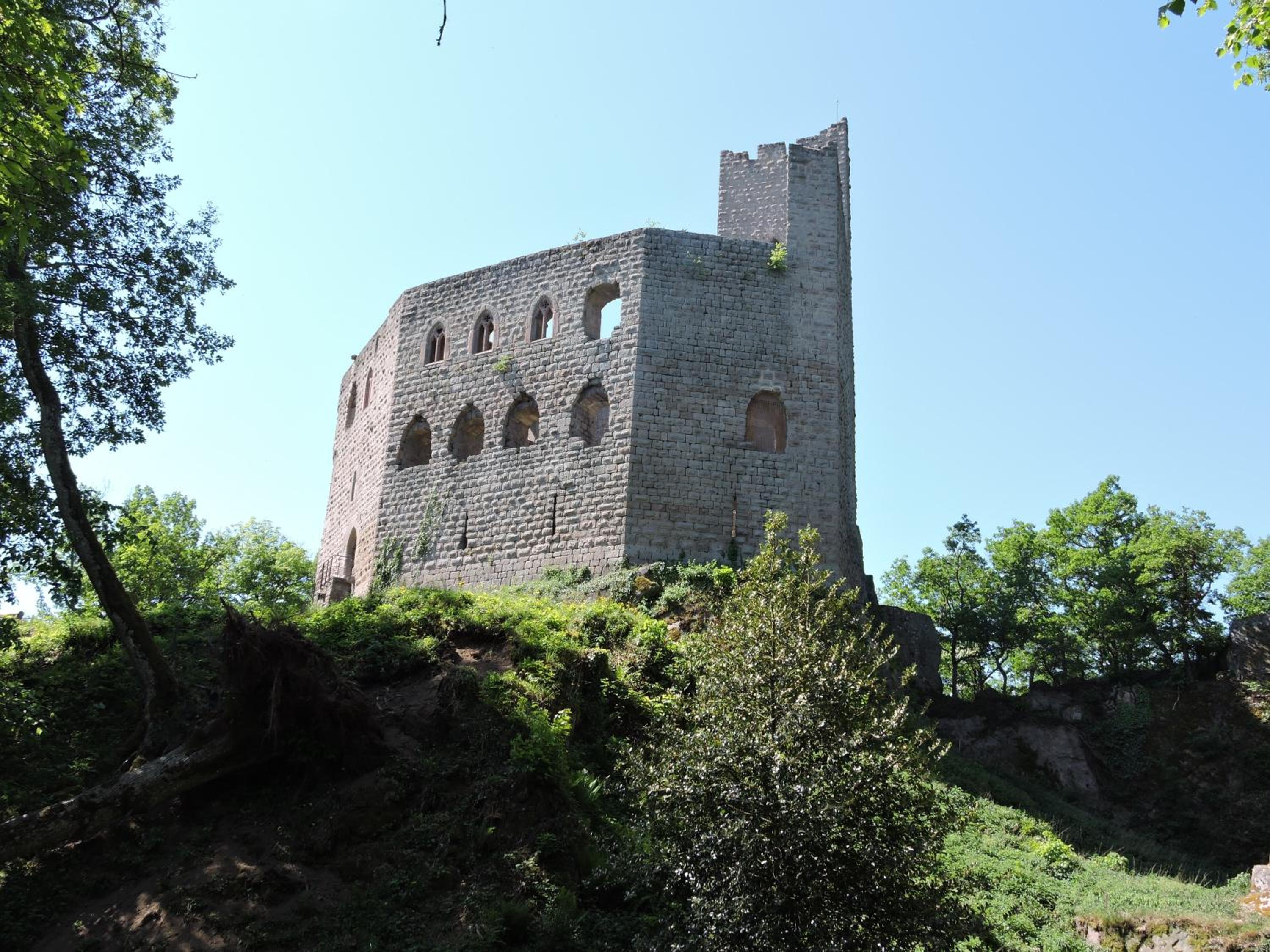 Photo 42