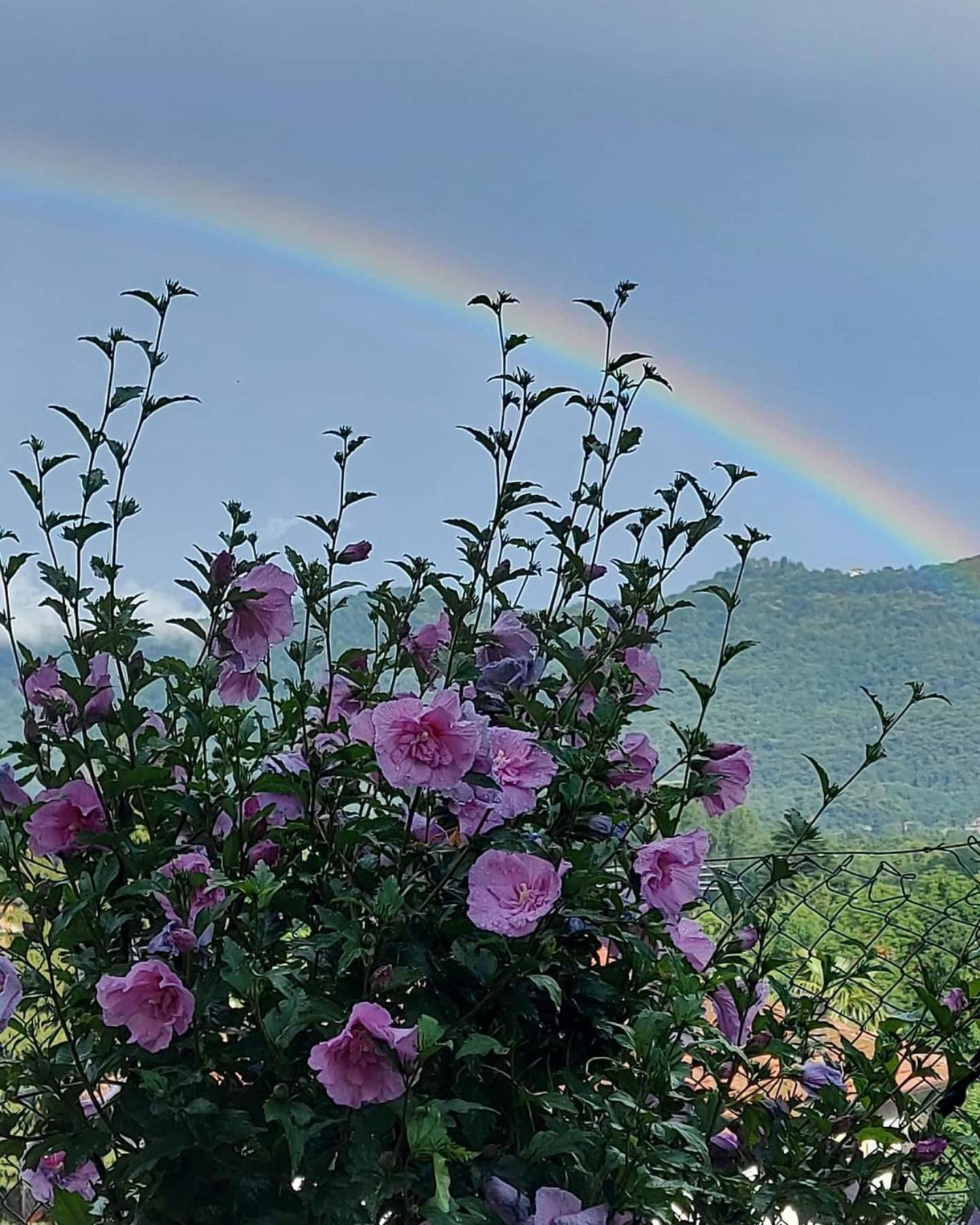Casa ARCOBALENO
