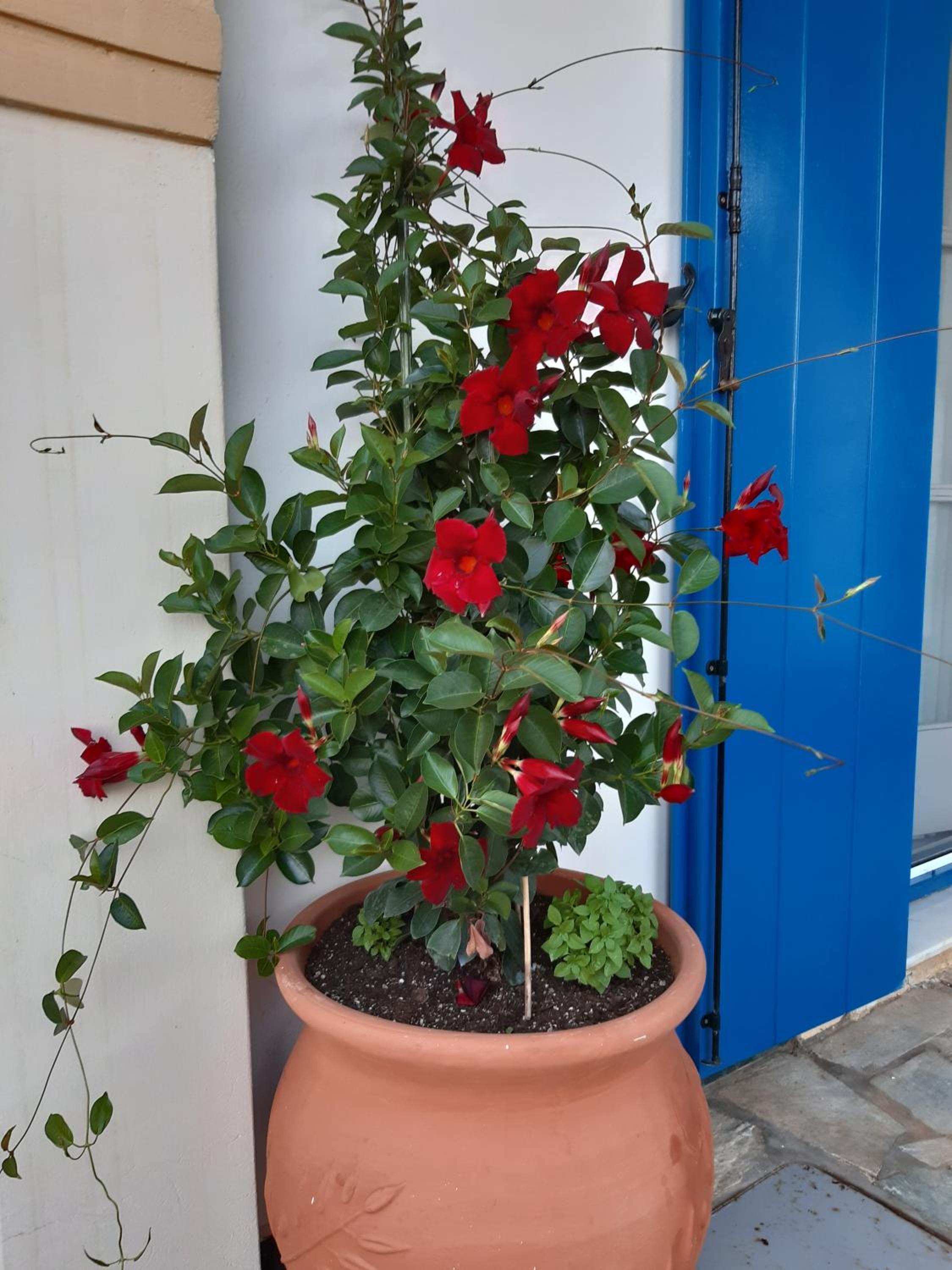 Photo 31