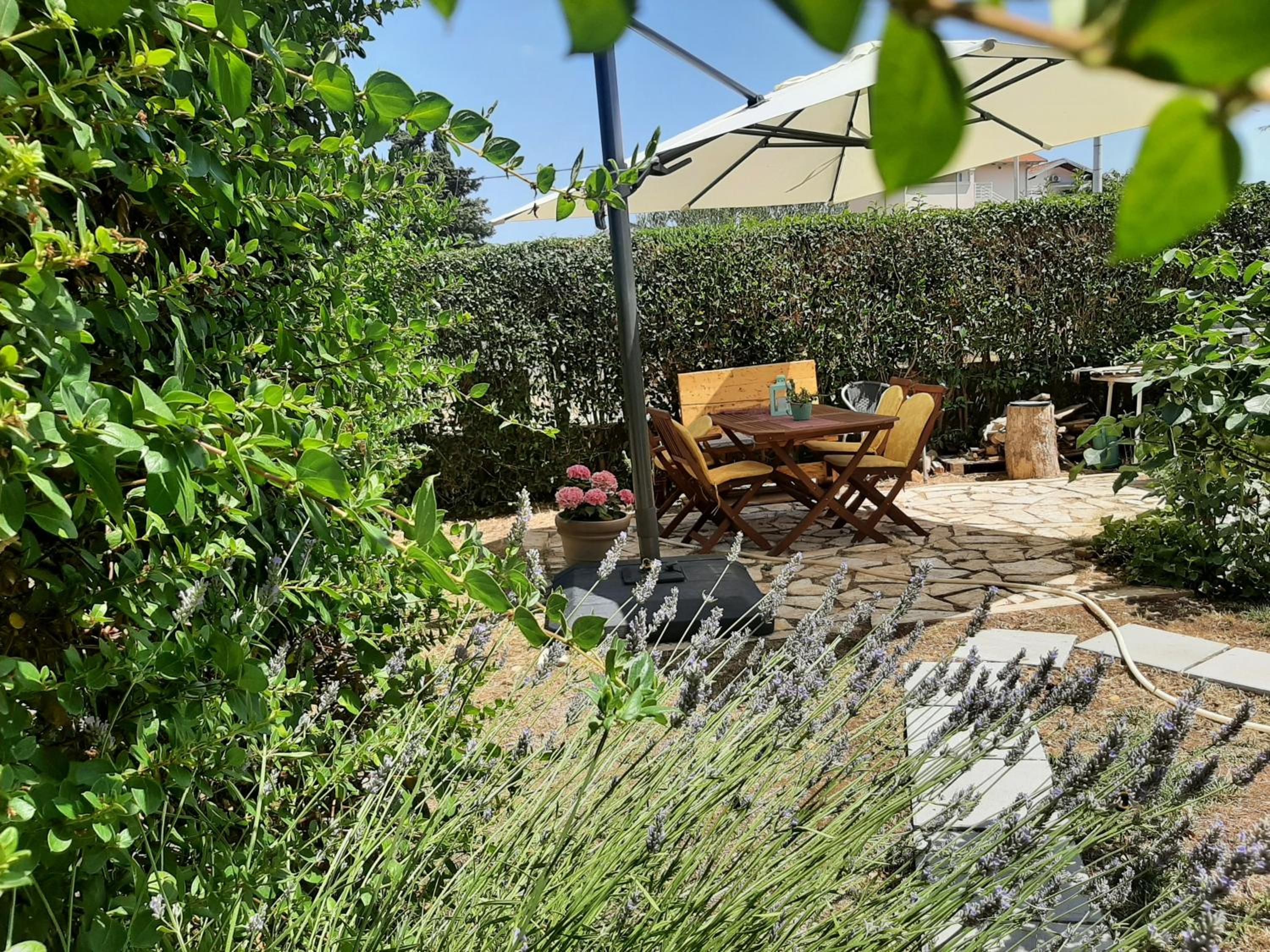 Apartments Borna