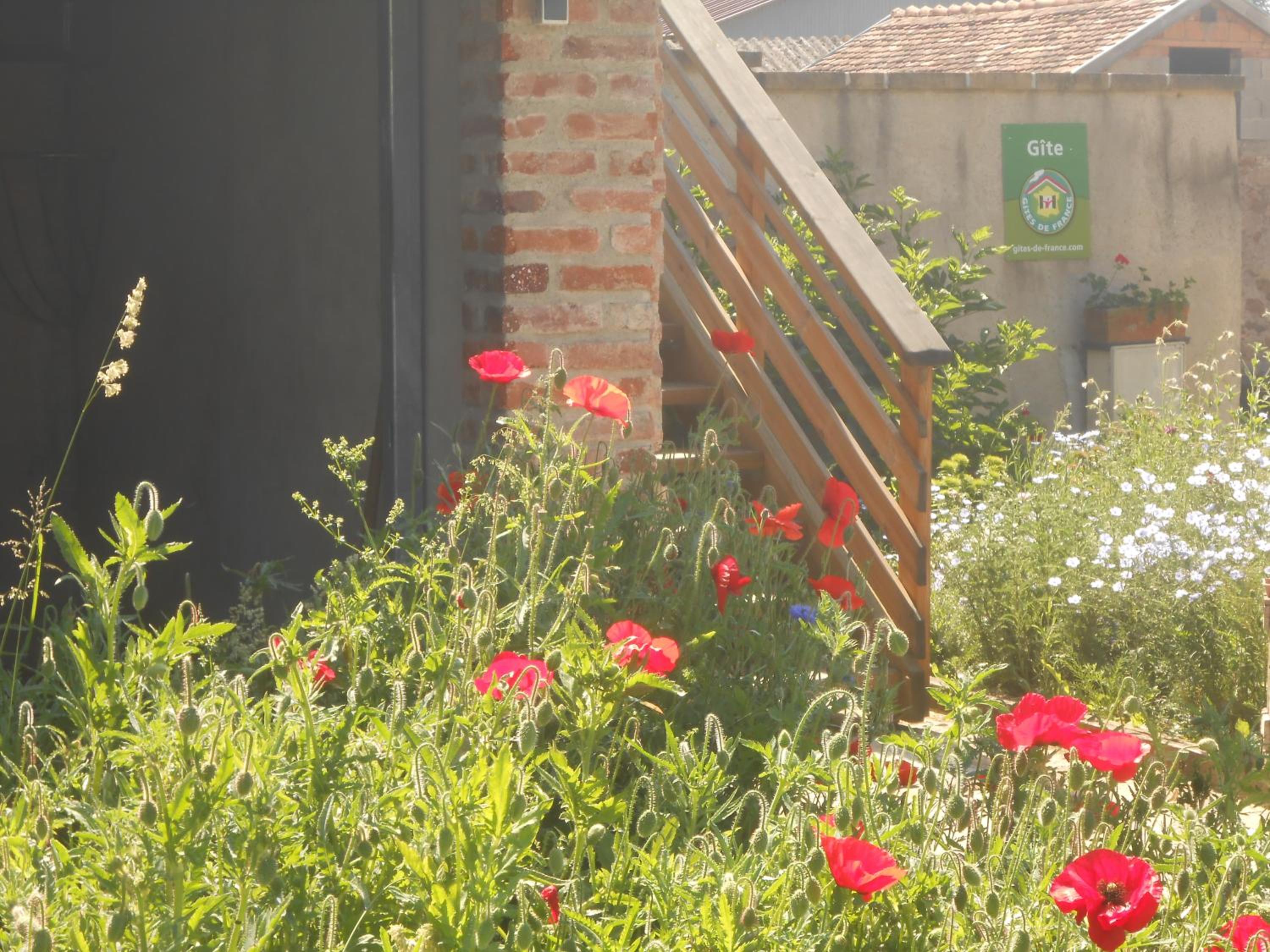 Gîte du Rotenberg