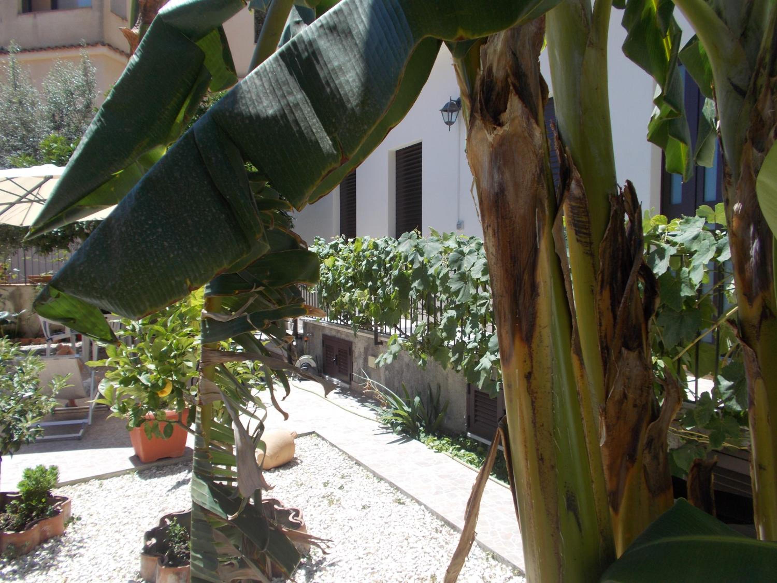 Villa Il Melograno view 4