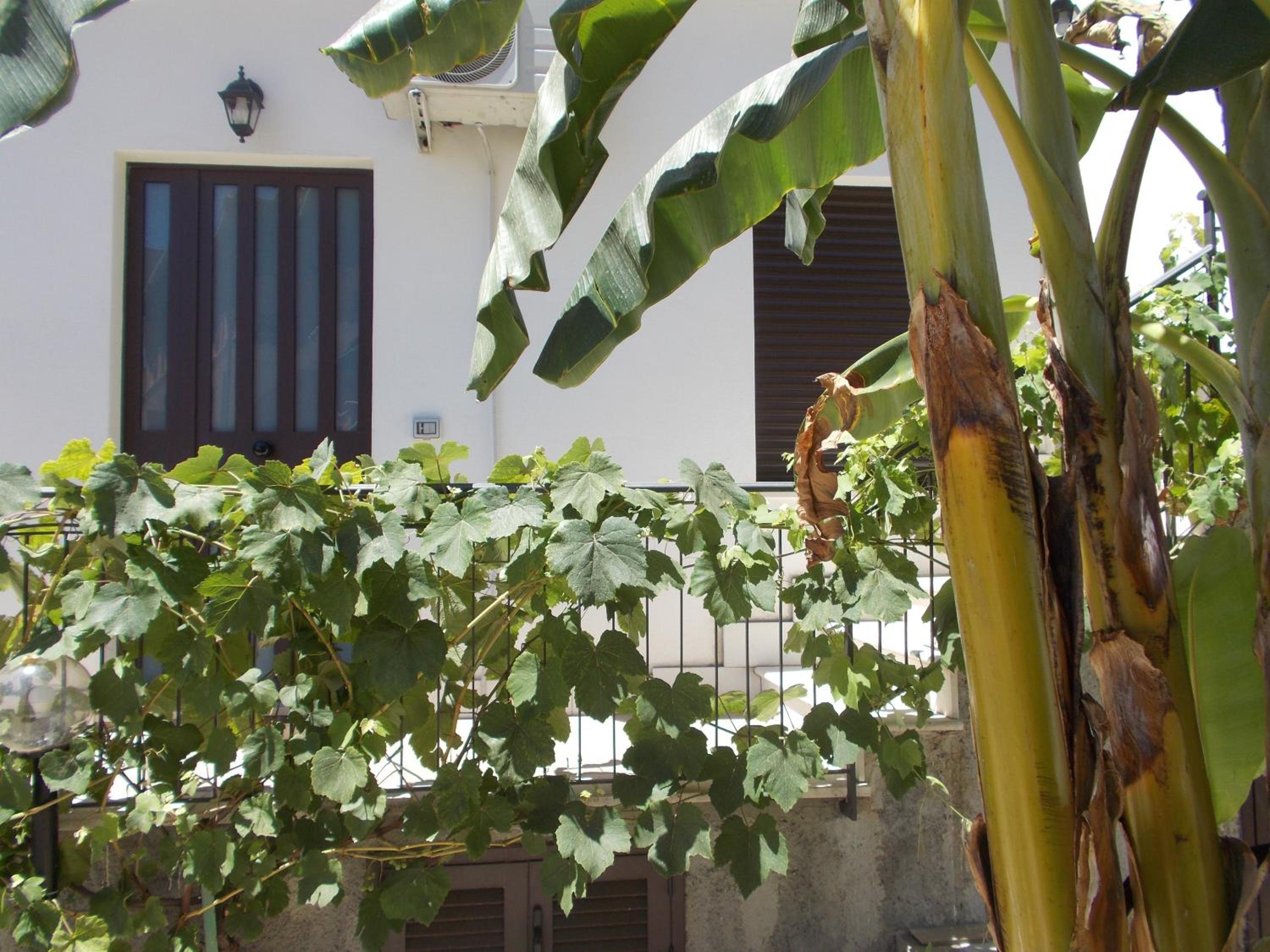 Villa Il Melograno view 5
