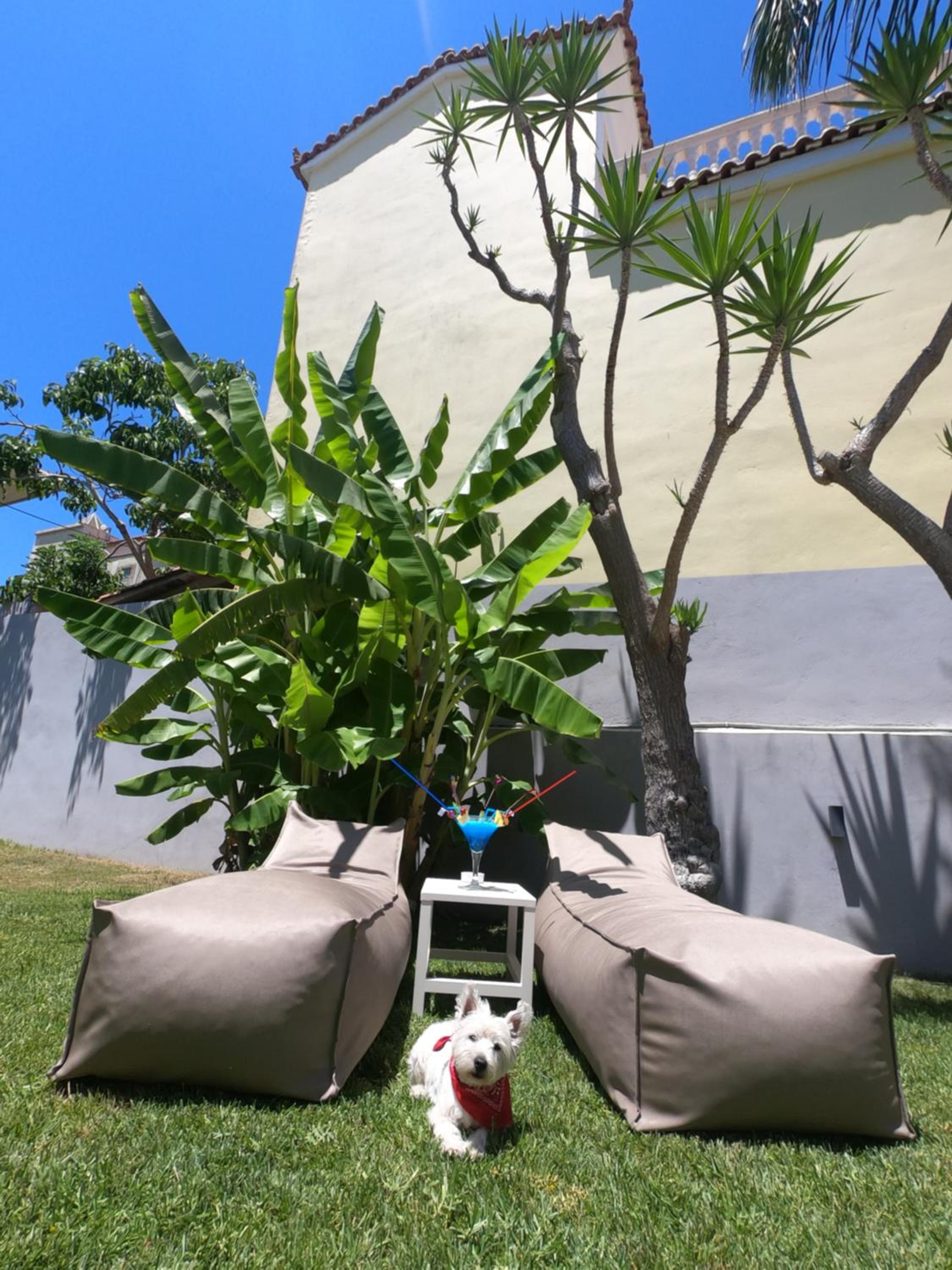 Paradise Hotel & Bar