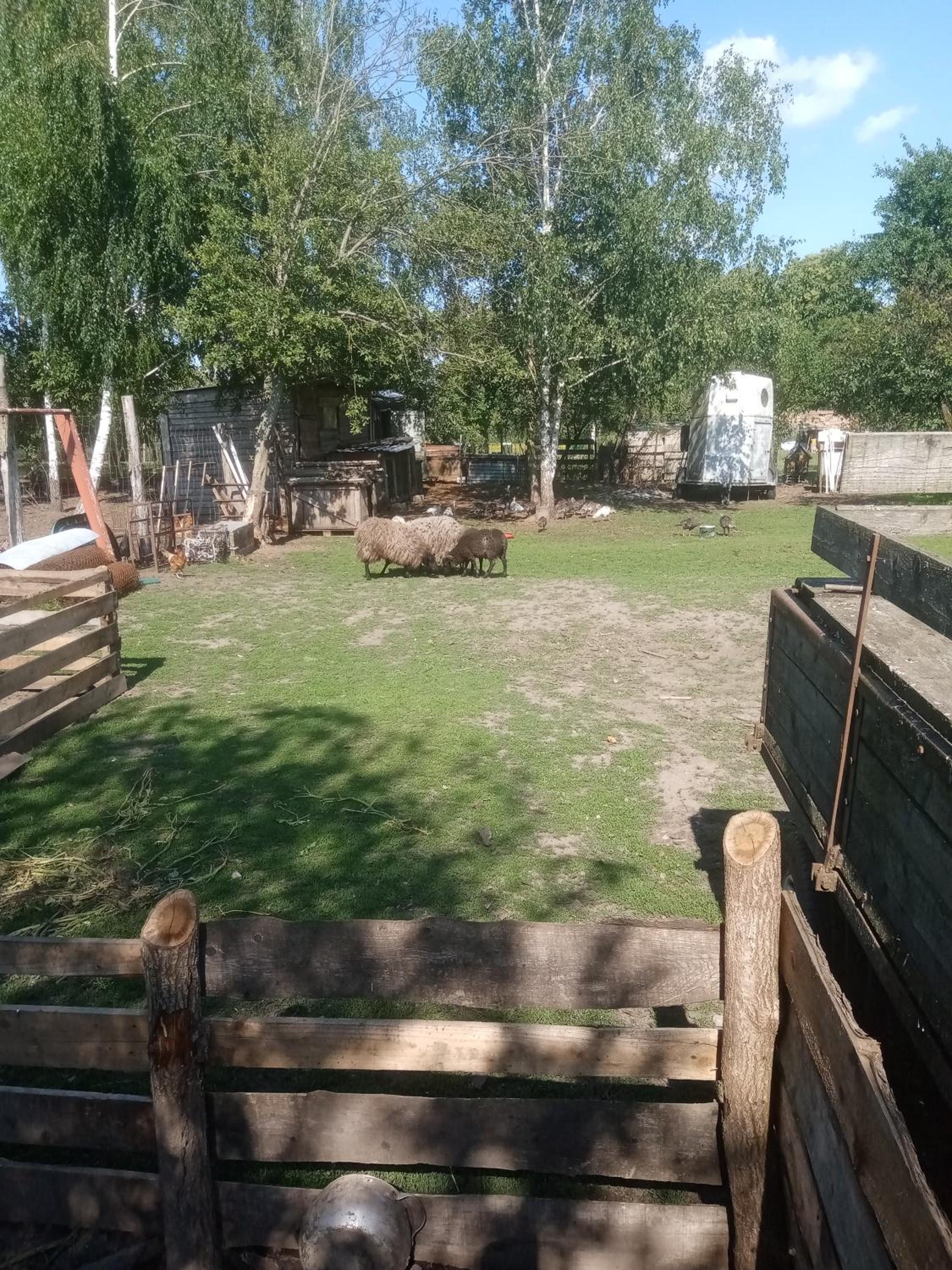 Photo 16