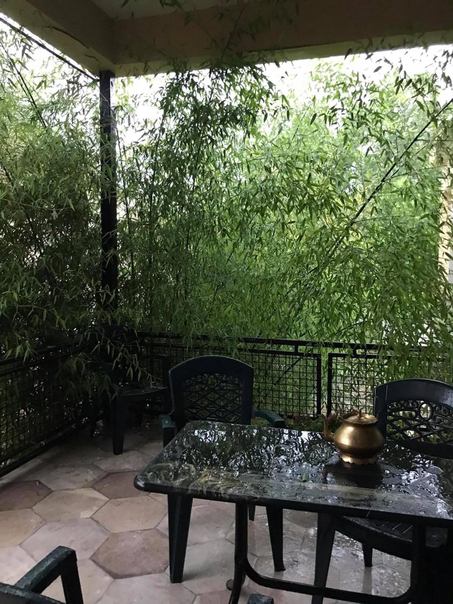Marinas Guesthouse