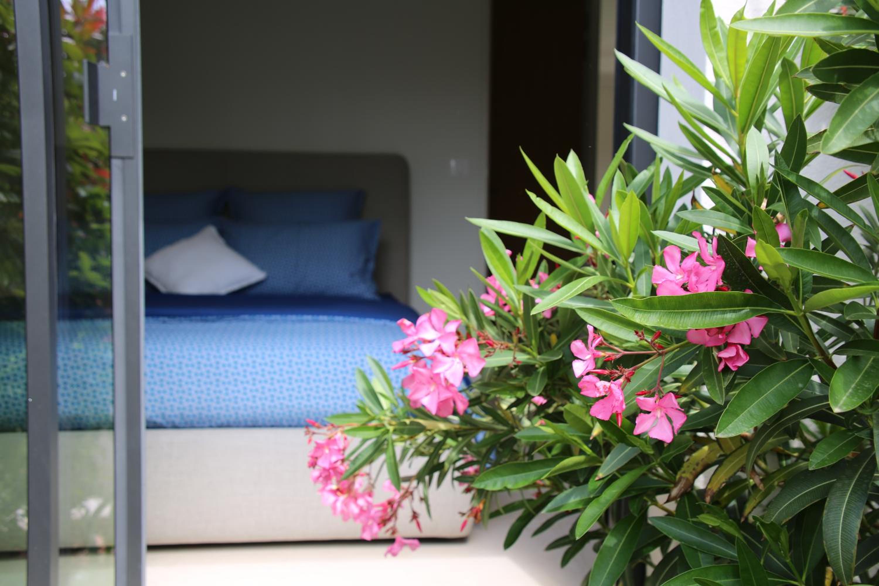 Villa Chaptalia view 4