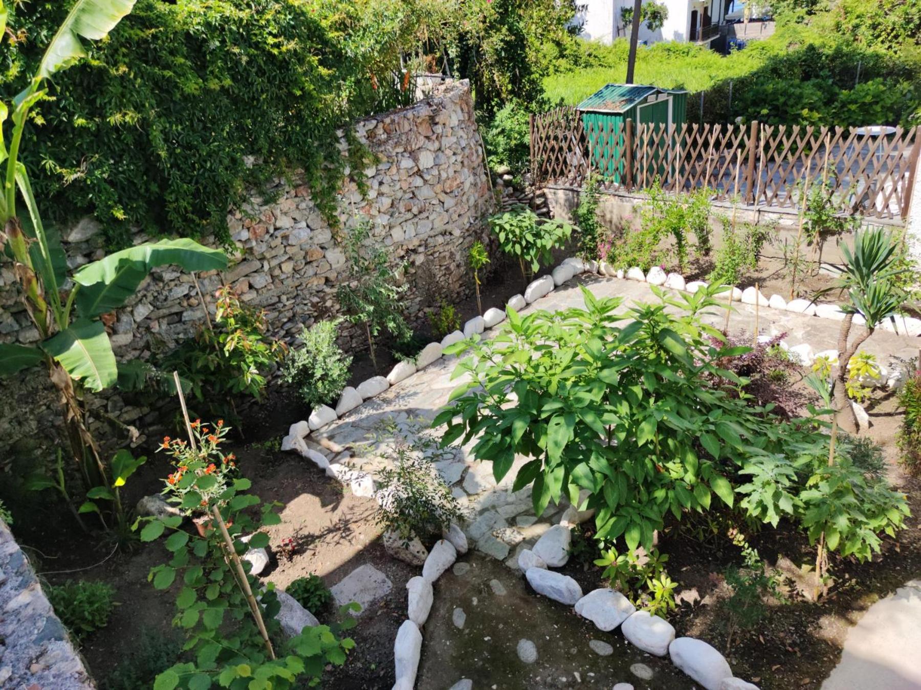 Photo 21