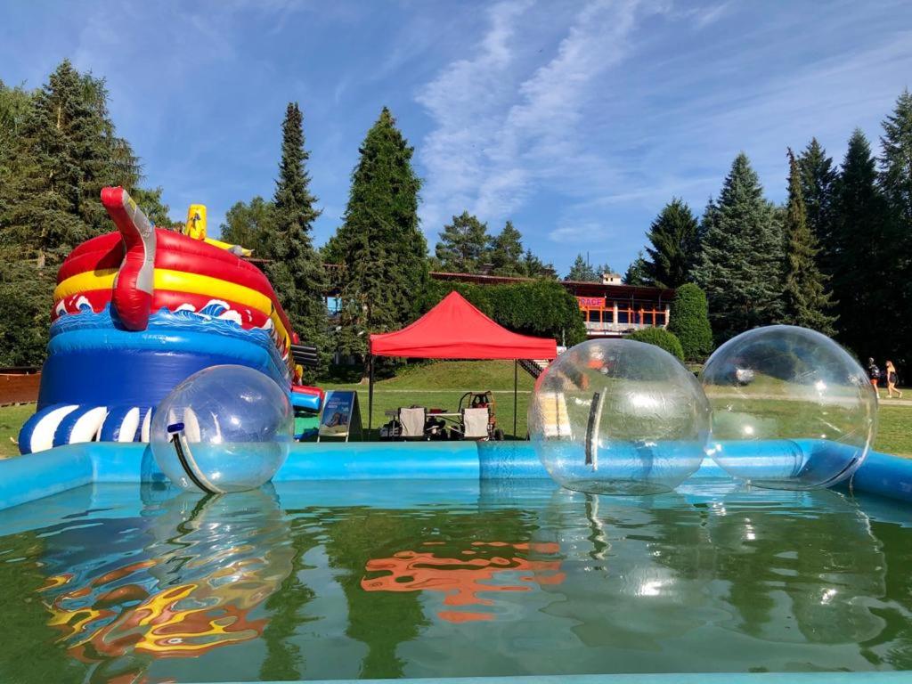 Juniorcamp Nová Živohošť