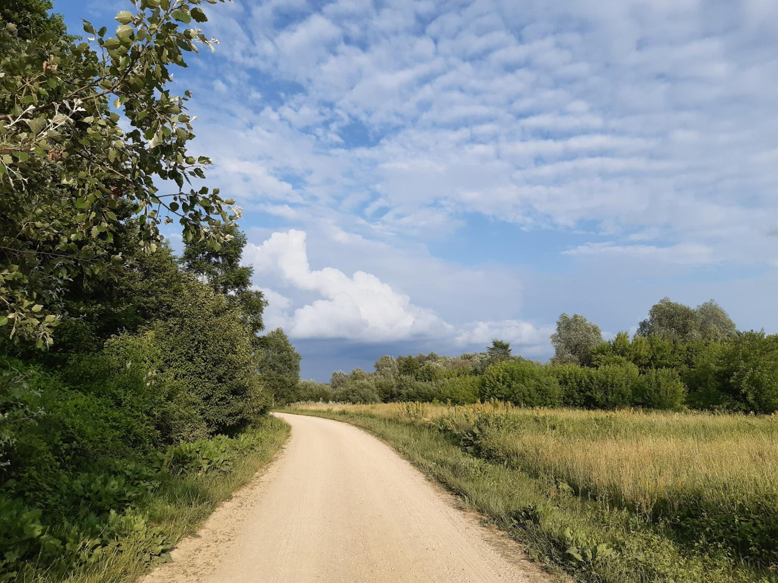 Domek na Podlasiu view 4
