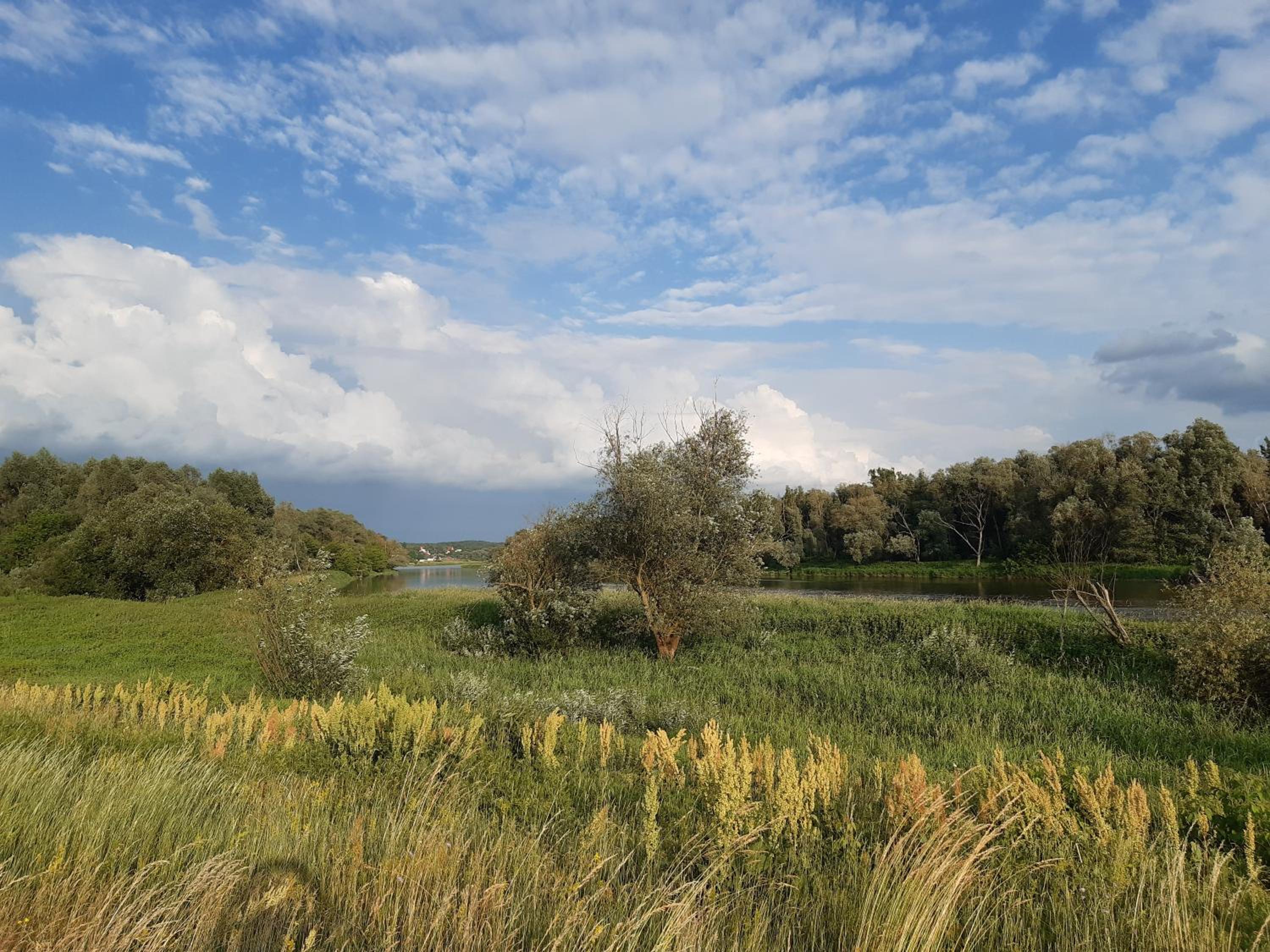 Domek na Podlasiu view 5