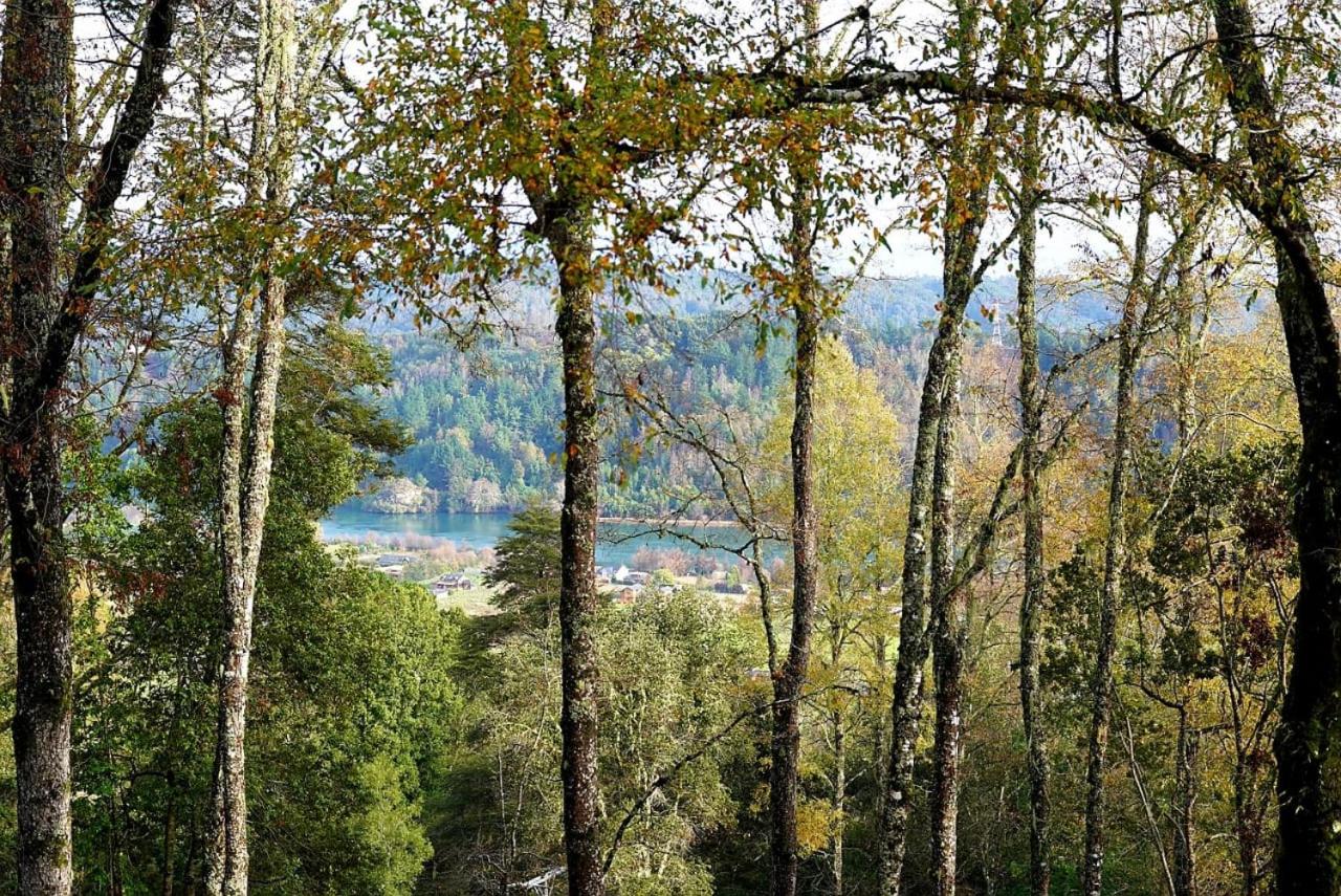 LA CASA EN EL BOSQUE con vista al Río view 3