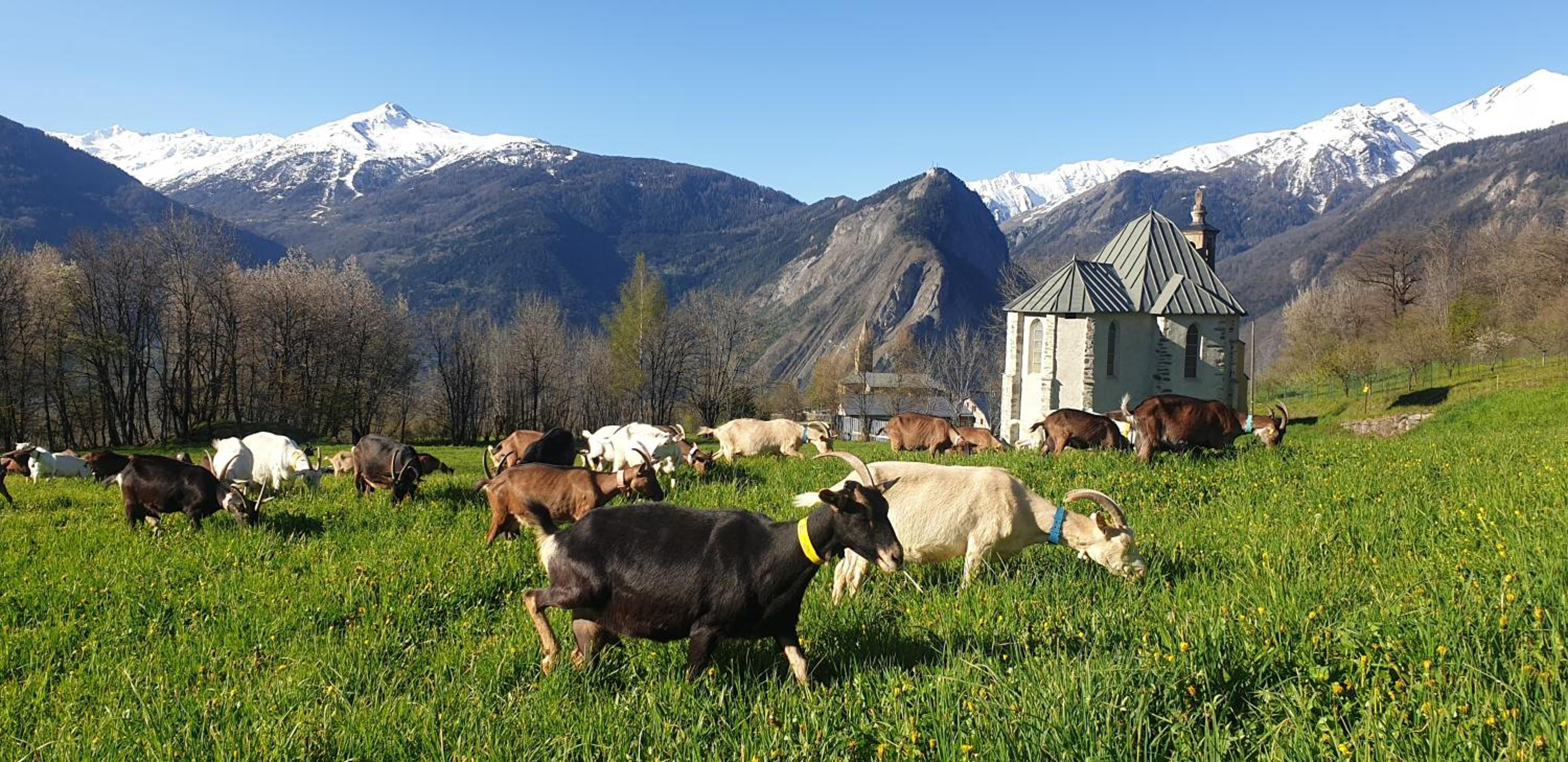 Chambre d'hôtes à la ferme