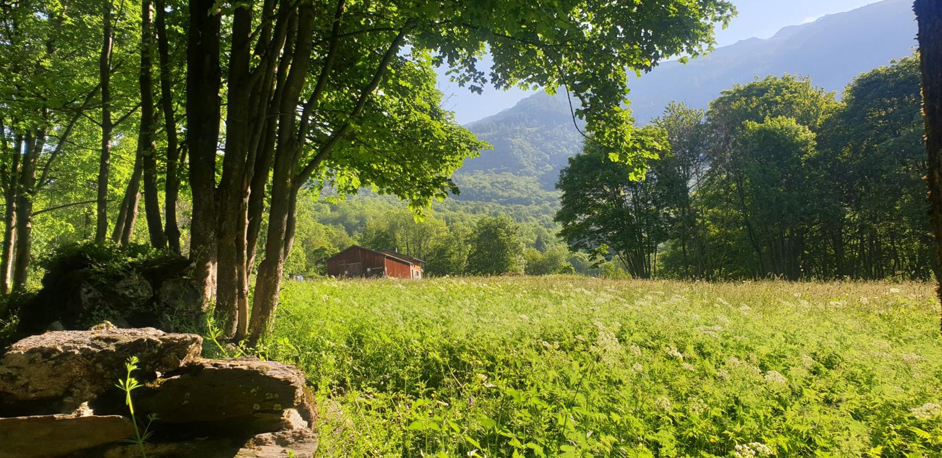Chambre d'hôtes à la ferme