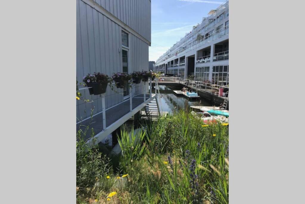 Large and cosy house on the water: free Parking